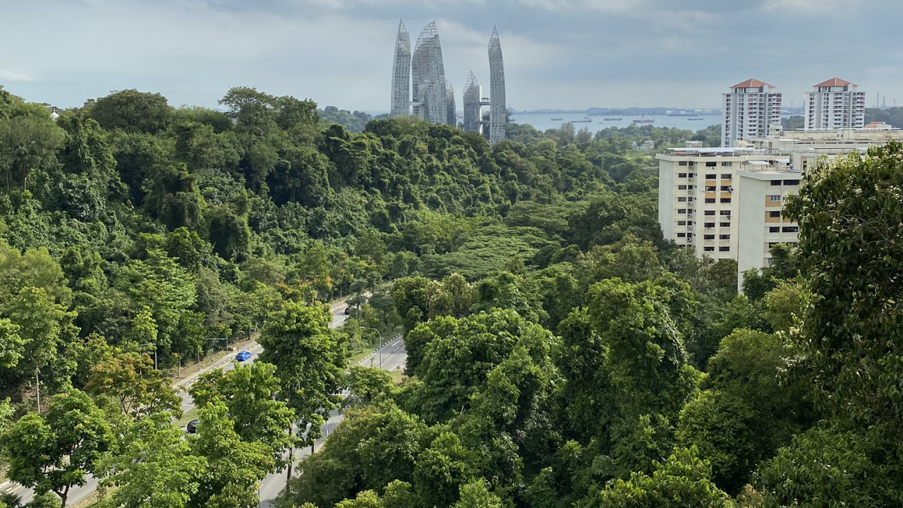 Обои растительность, карта маршрута, природа, дневное время, облако в разрешении 1280x720