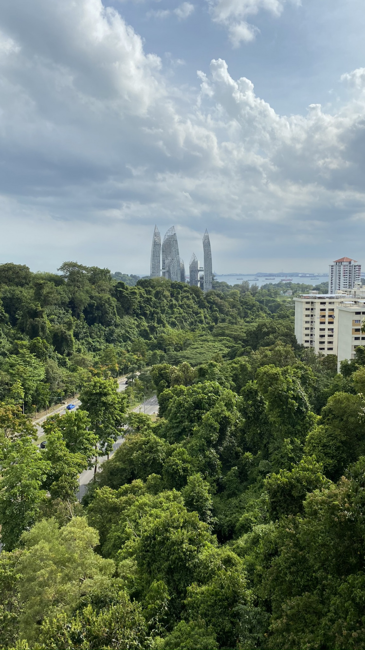 Обои растительность, карта маршрута, природа, дневное время, облако в разрешении 750x1334