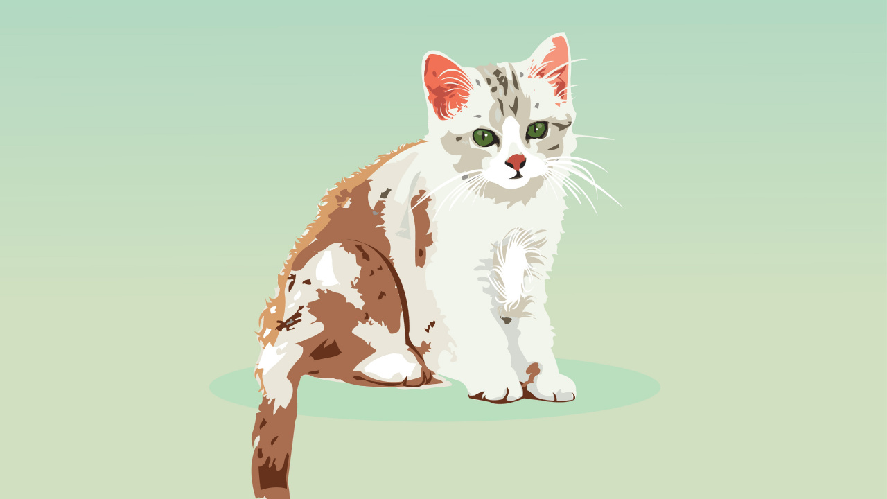 Обои кот, котенок, векторная графика, кошачьих, бакенбарды в разрешении 1280x720