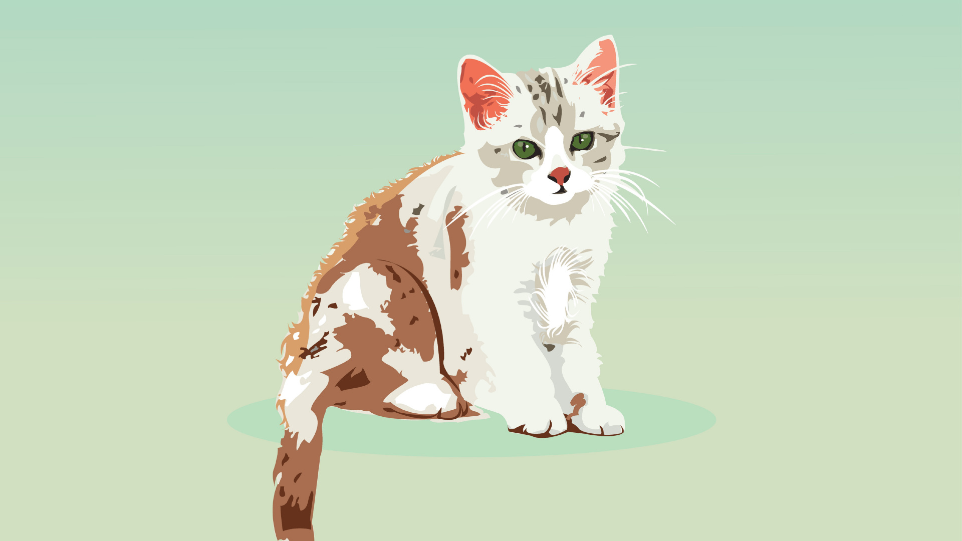 Обои кот, котенок, векторная графика, кошачьих, бакенбарды в разрешении 1920x1080