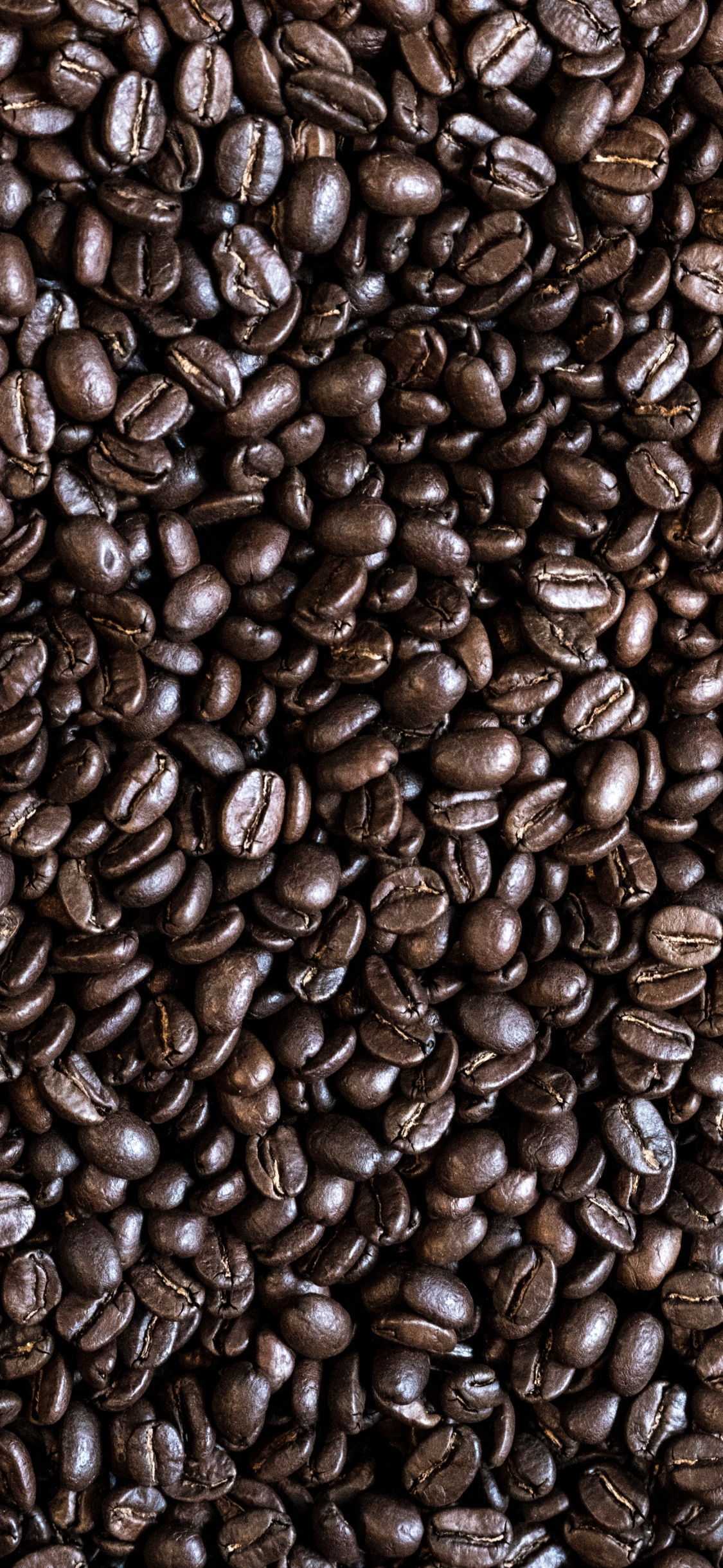 Обои кофе, кофейное зерно, кофейня, боб, коричневый цвет в разрешении 1125x2436