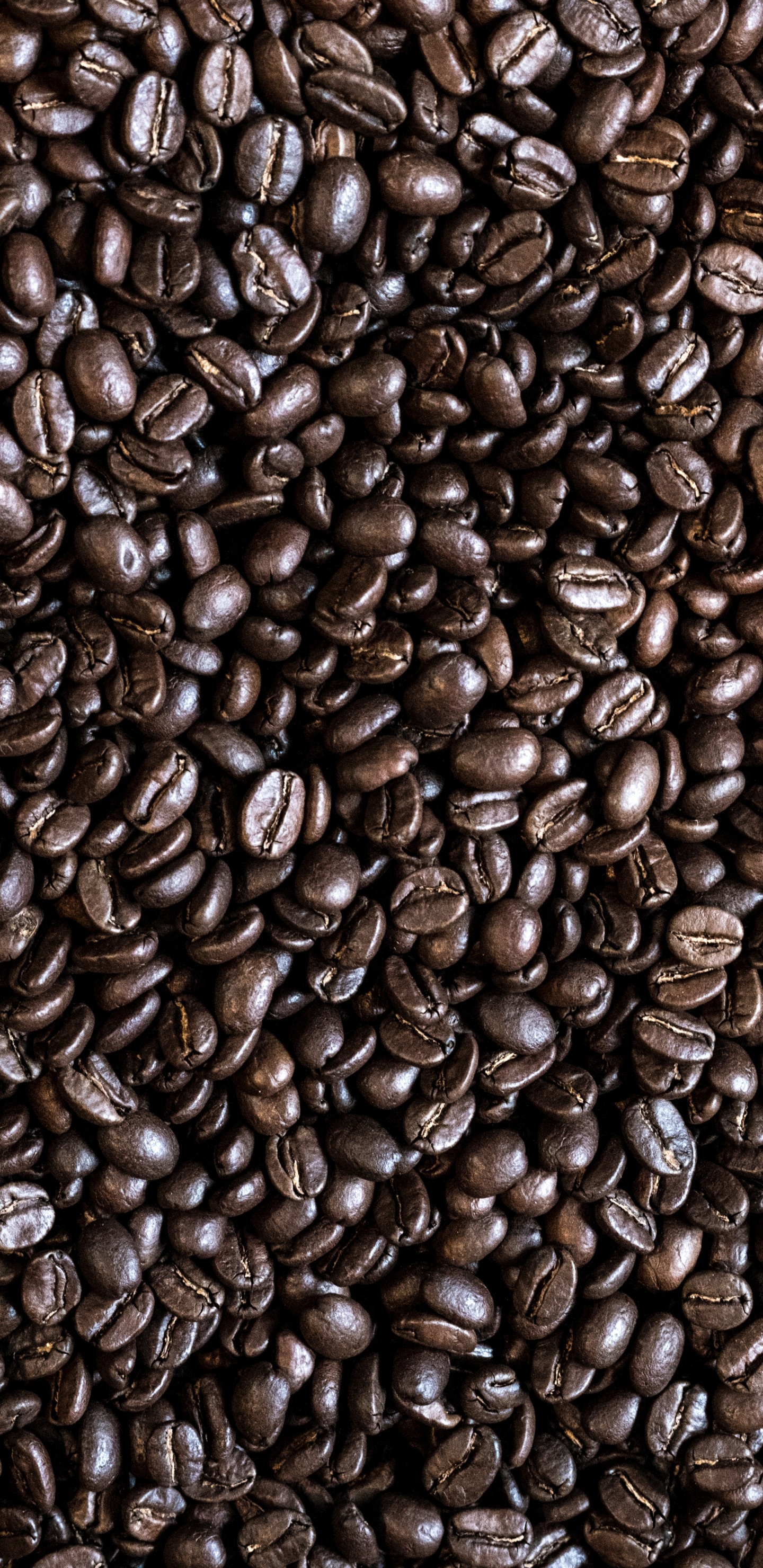 Обои кофе, кофейное зерно, кофейня, боб, коричневый цвет в разрешении 1440x2960