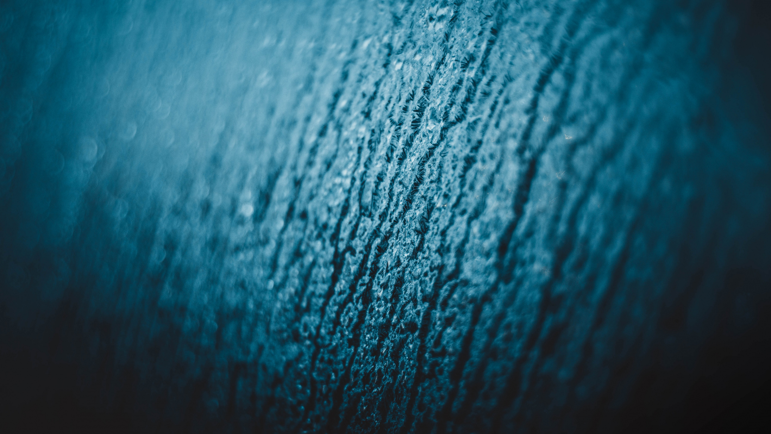 Обои синий, зеленый, вода, бирюза, Аква в разрешении 2560x1440