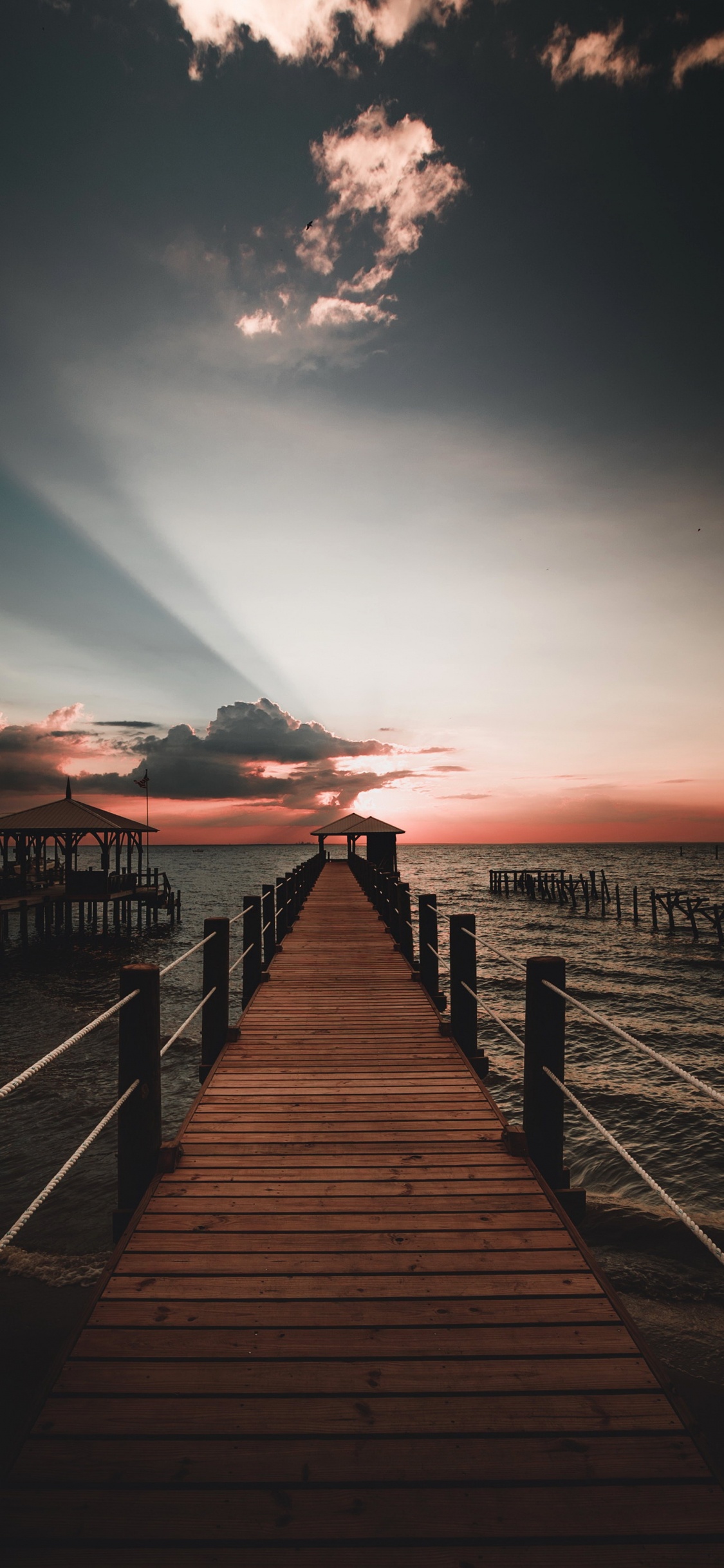 Обои вода, атмосфера, природа, послесвечение, древесина в разрешении 1125x2436