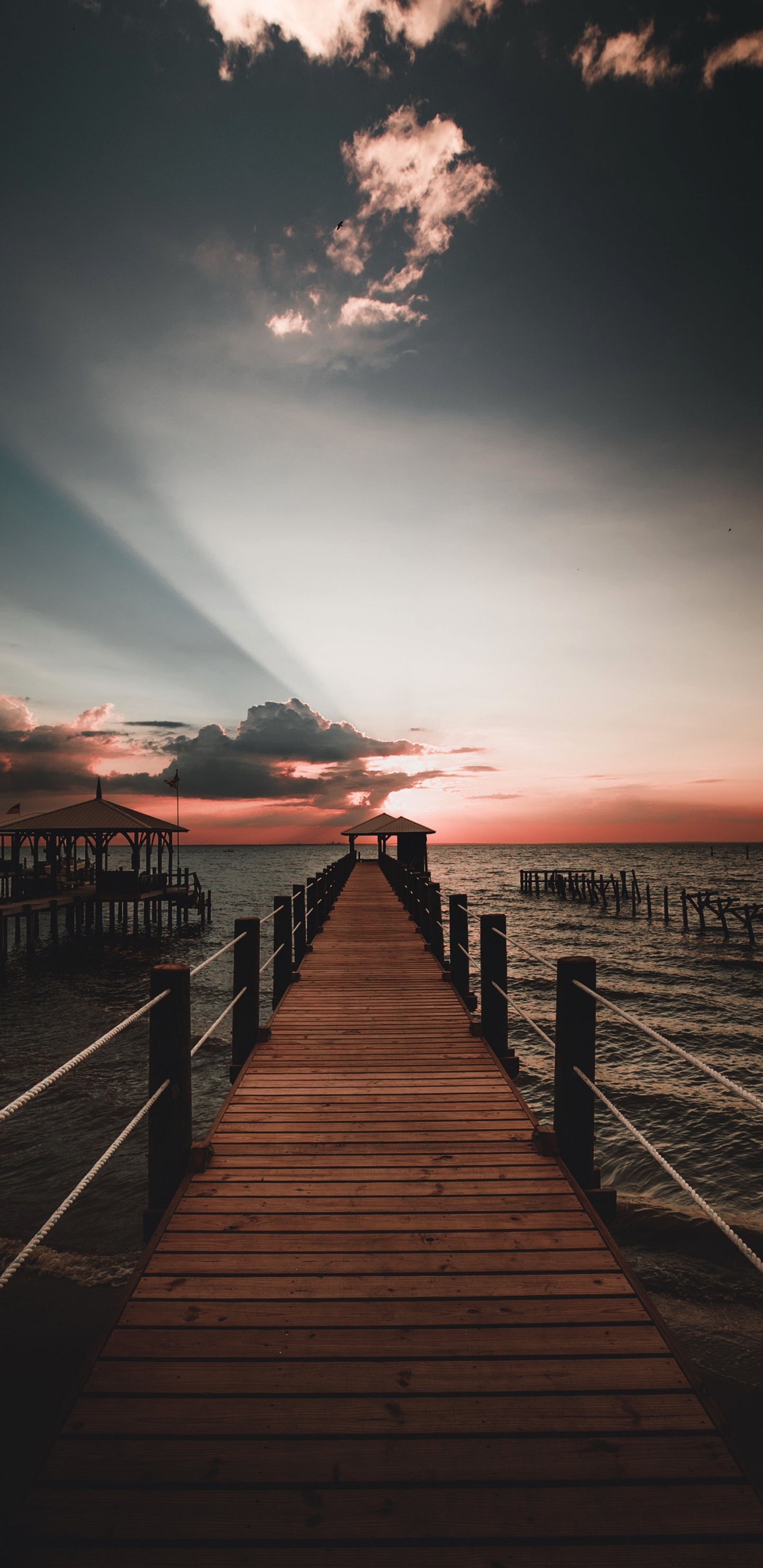 Обои вода, атмосфера, природа, послесвечение, древесина в разрешении 1440x2960