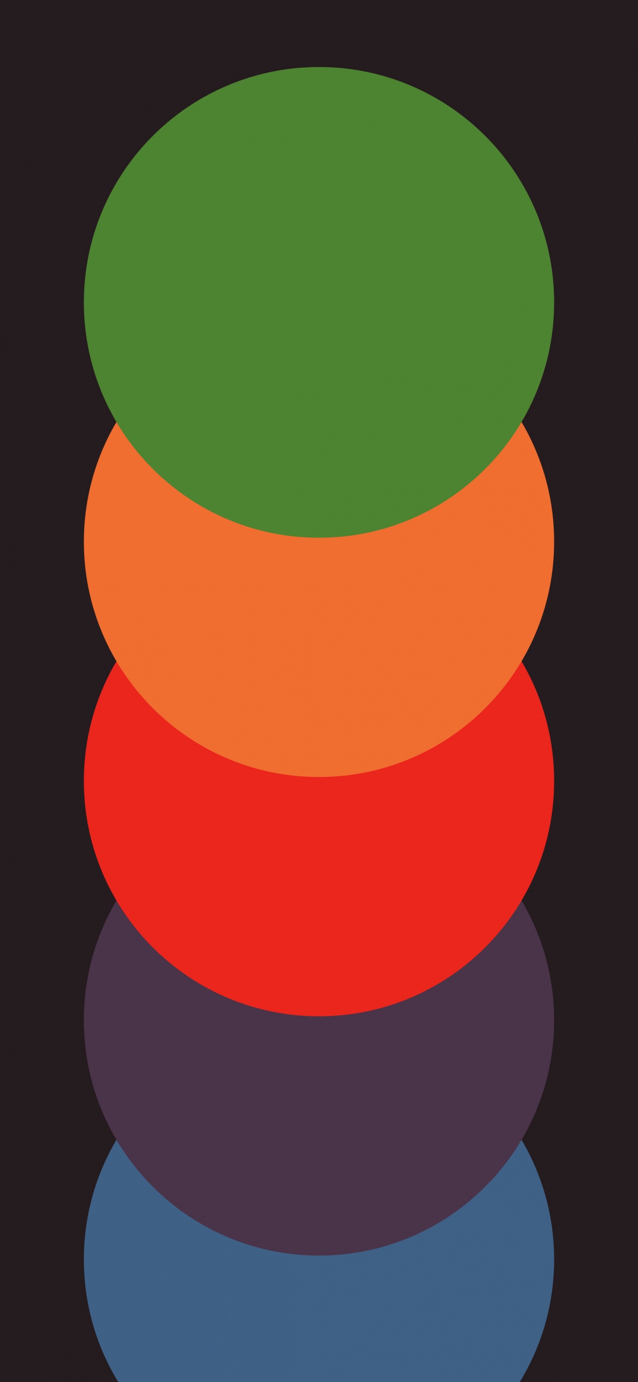 Обои женщина, арт, полутона и оттенки, круг, узор в разрешении 1242x2688