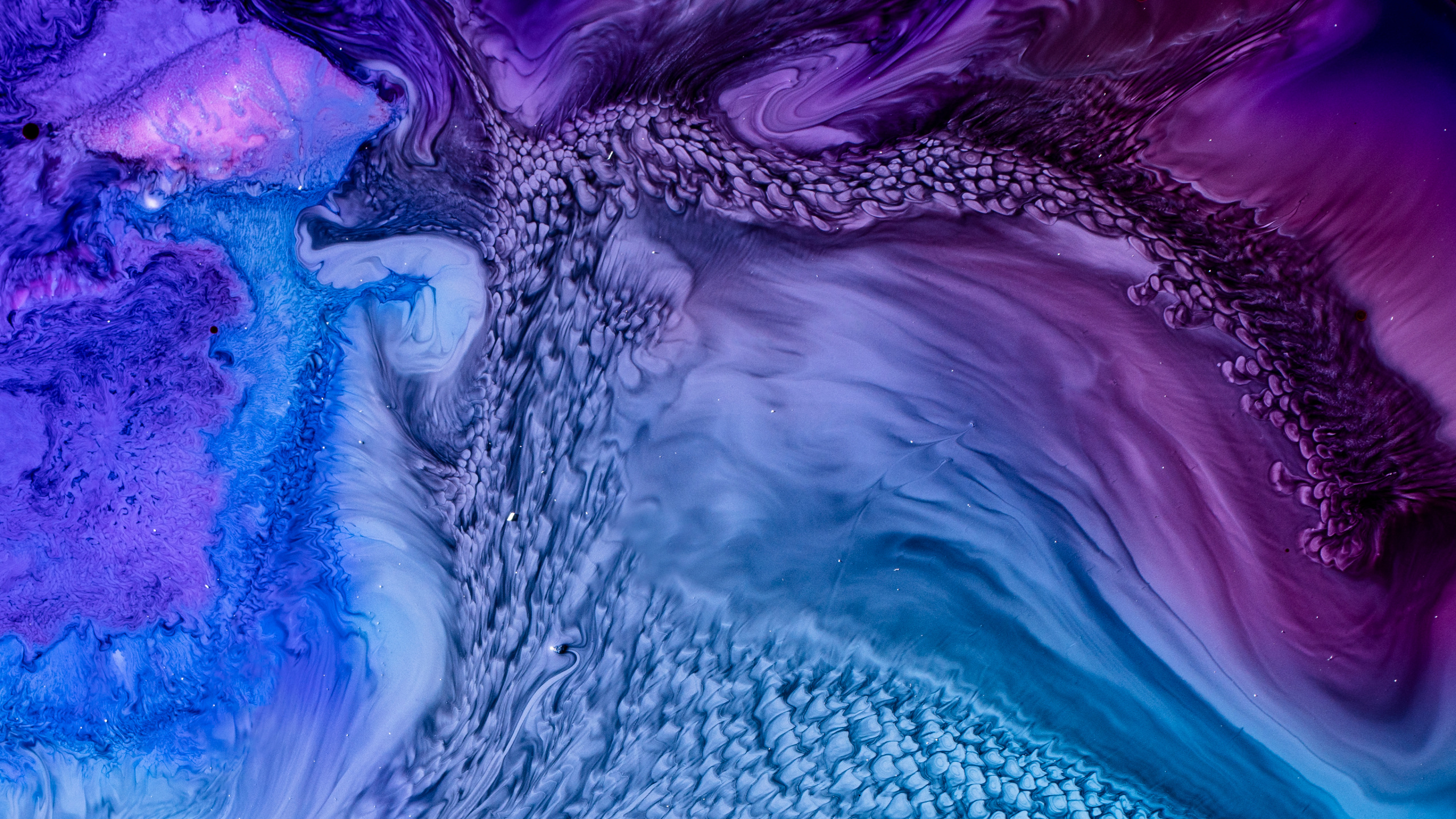 Обои синий, вода, пурпур, Фиолетовый, электрик в разрешении 2560x1440