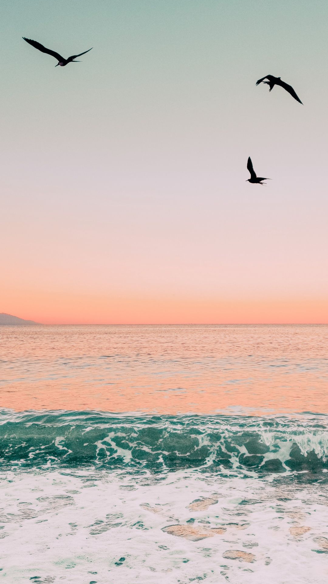 Обои Миртл-Бич, вода, птица, атмосфера, дневное время в разрешении 1080x1920