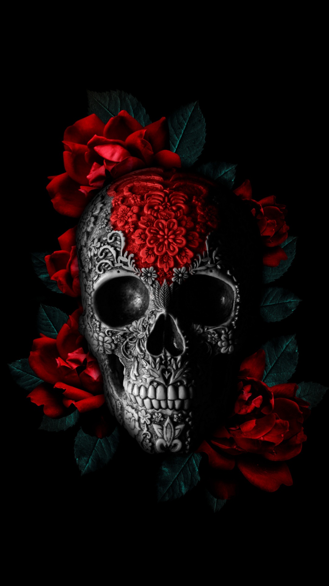 Обои Череп арт, кость, череп, арт, пурпурный цвет в разрешении 1080x1920