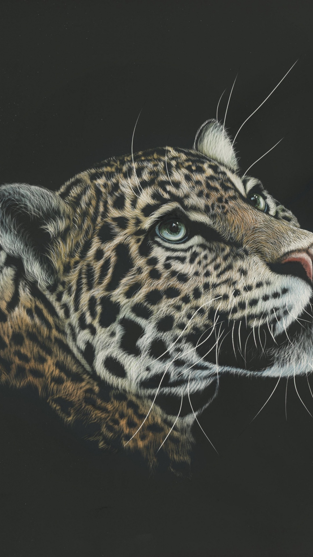 Обои Леопард, Ягуар, живая природа, кошачьих, бакенбарды в разрешении 1080x1920