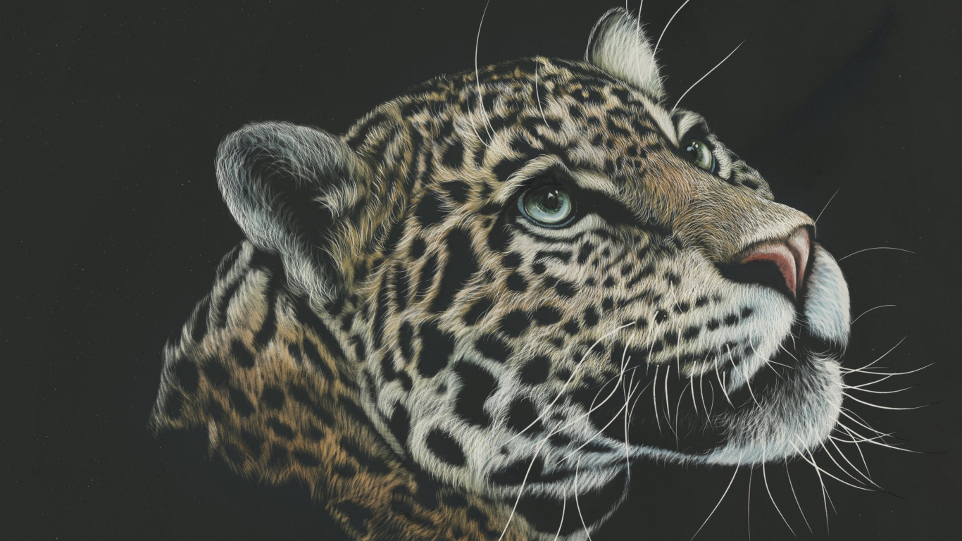 Обои Леопард, Ягуар, живая природа, кошачьих, бакенбарды в разрешении 1366x768