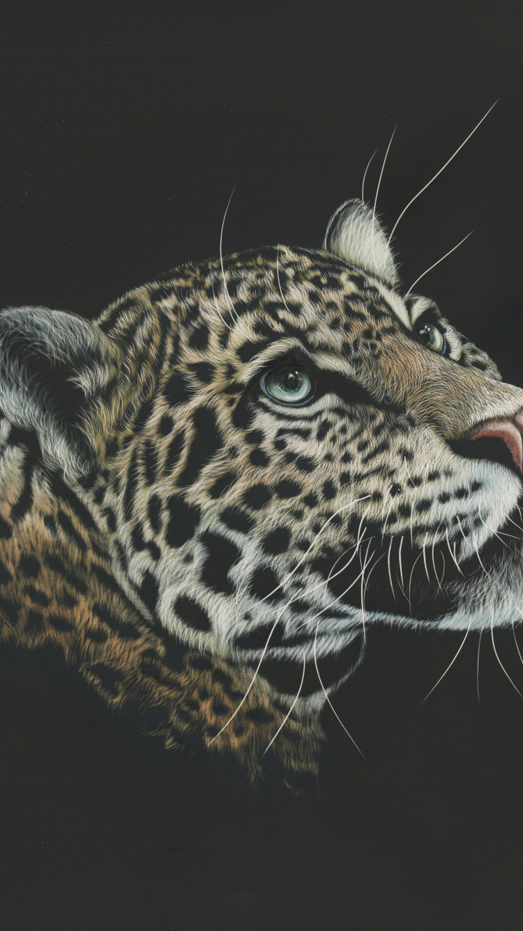 Обои Леопард, Ягуар, живая природа, кошачьих, бакенбарды в разрешении 750x1334