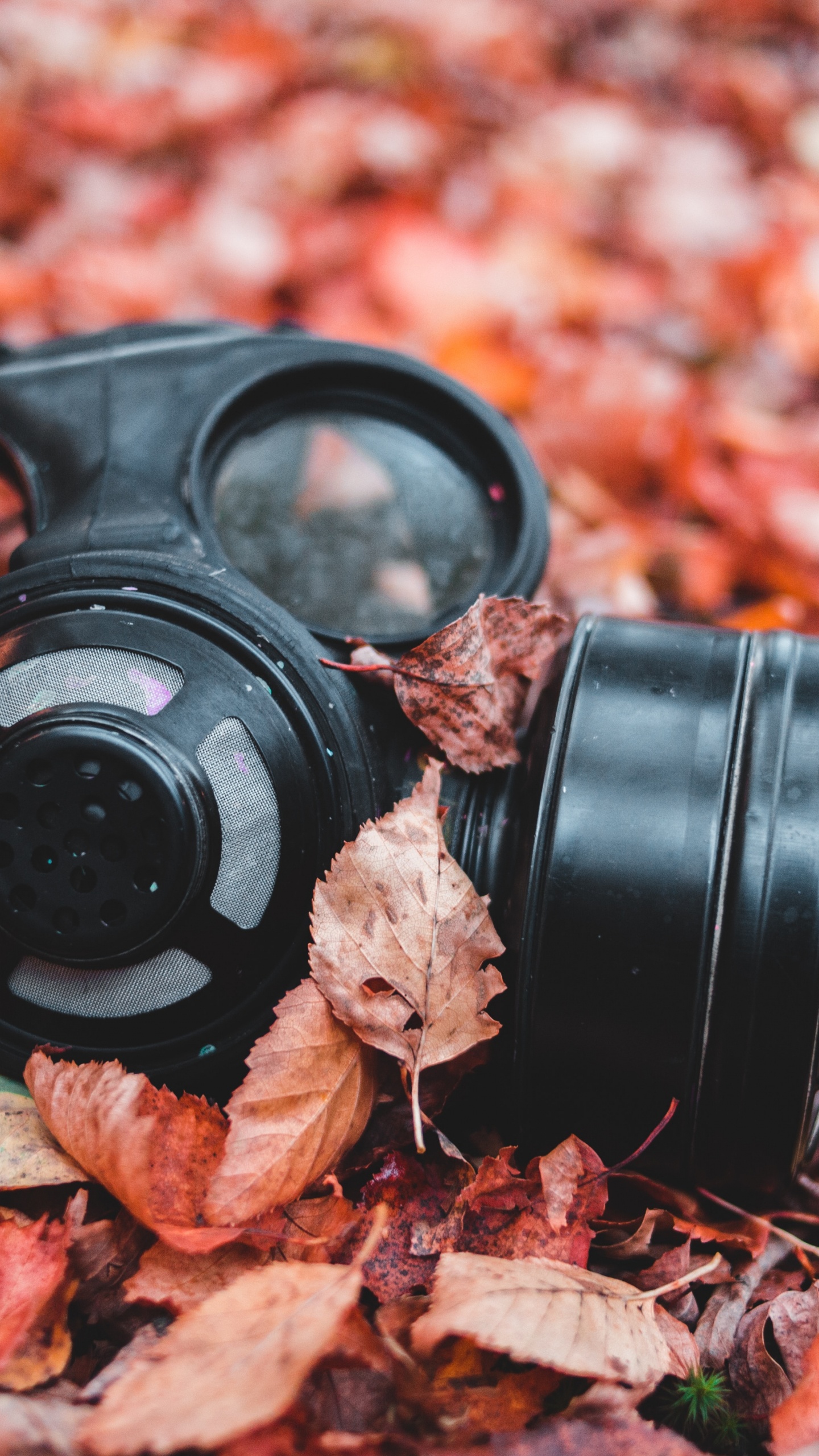 Обои костюм, противогаз, осень, М-дерево, дерево в разрешении 1440x2560