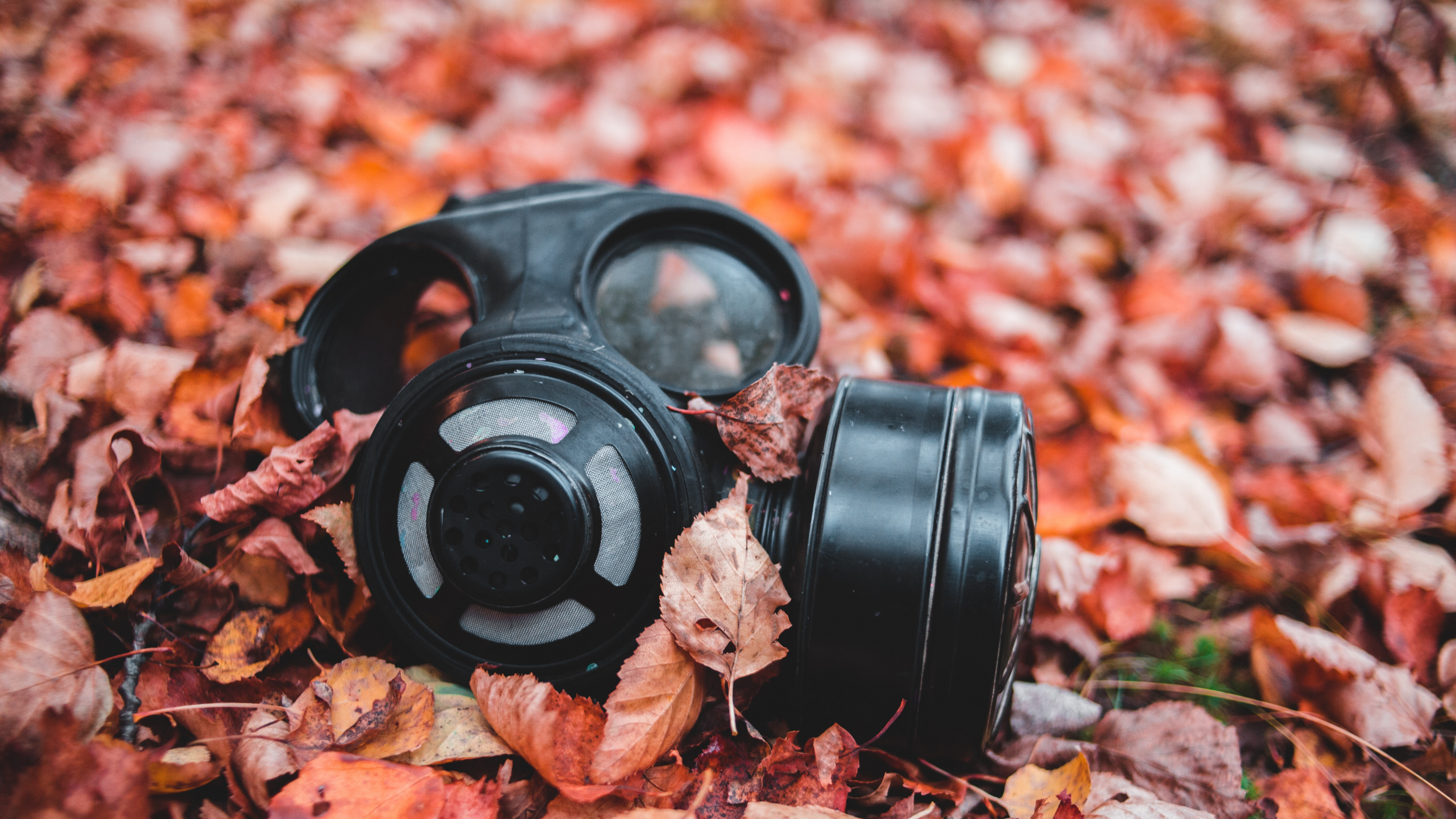 Обои костюм, противогаз, осень, М-дерево, дерево в разрешении 2560x1440