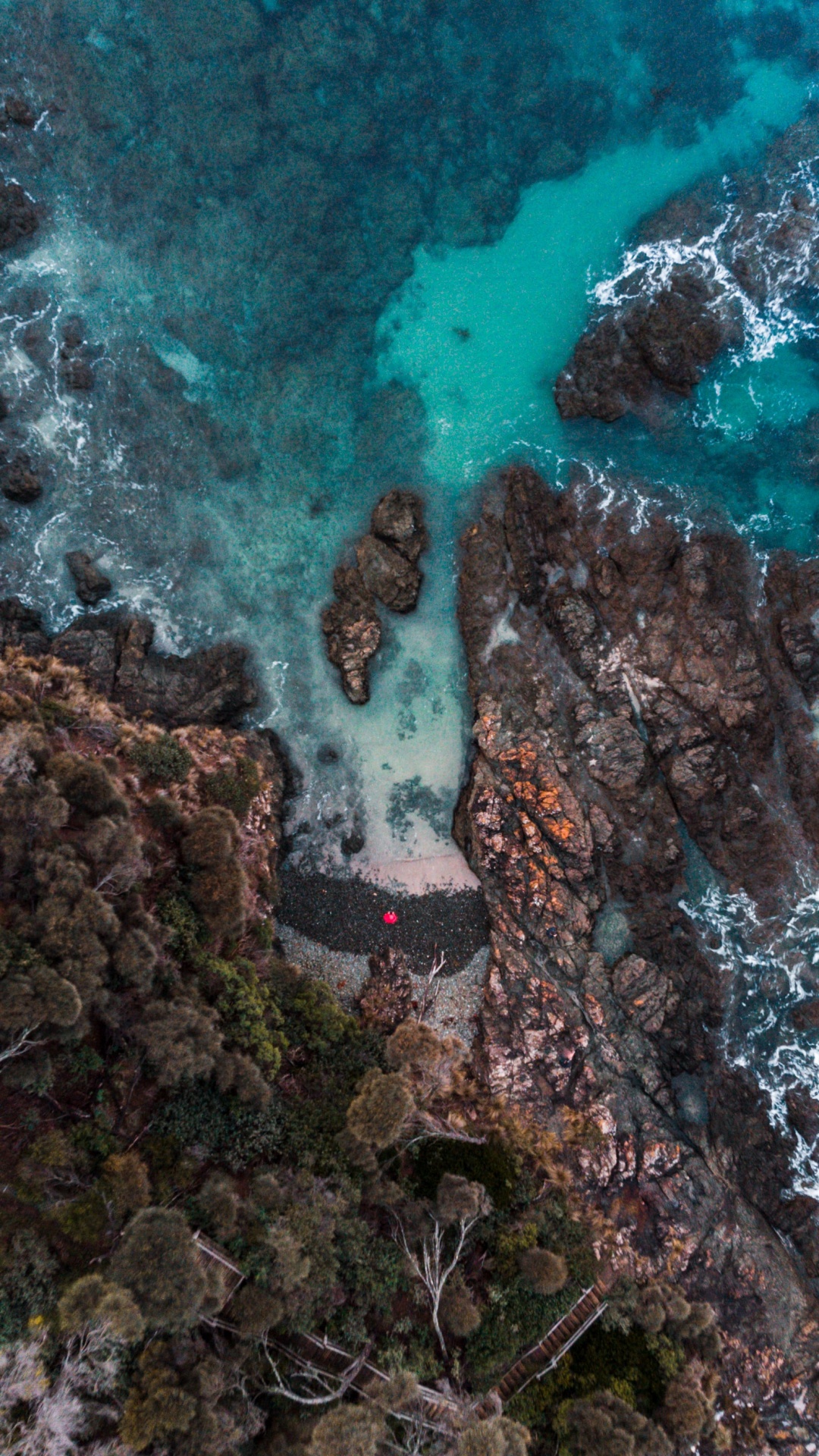 Обои вода, окружающая среда, жидкость, растительность, природный ландшафт в разрешении 1080x1920