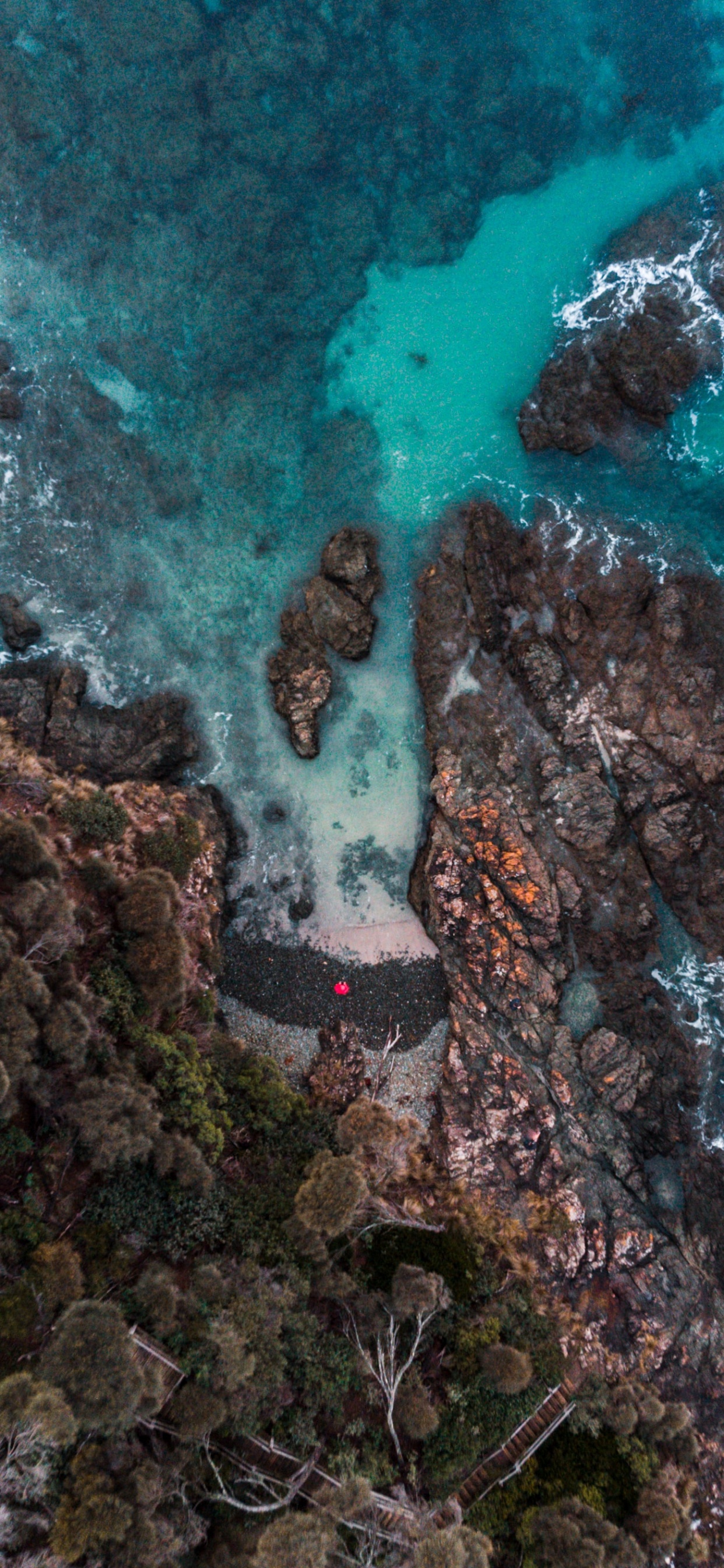 Обои вода, окружающая среда, жидкость, растительность, природный ландшафт в разрешении 1242x2688