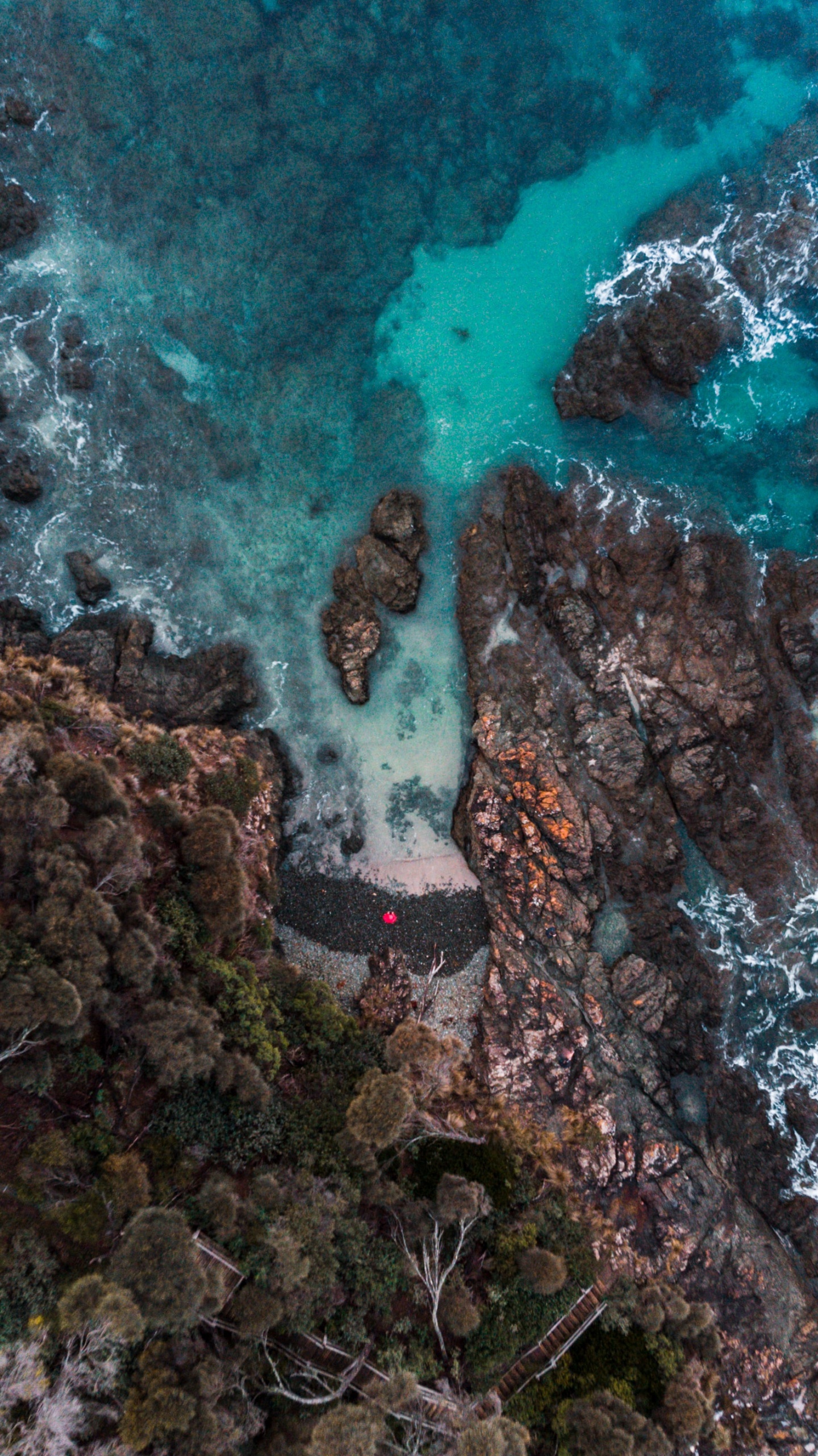 Обои вода, окружающая среда, жидкость, растительность, природный ландшафт в разрешении 1440x2560