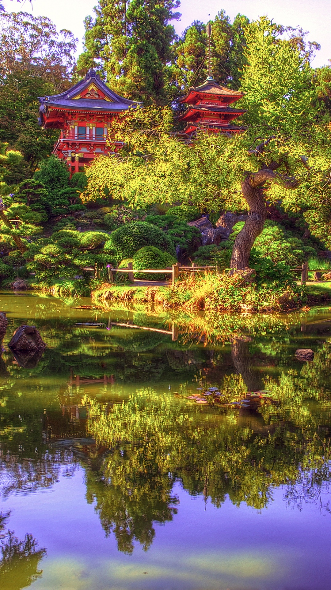Обои японский сад, сад, отражение, природа, вода в разрешении 1080x1920