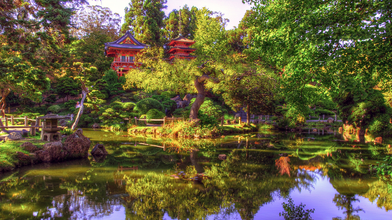 Обои японский сад, сад, отражение, природа, вода в разрешении 1280x720