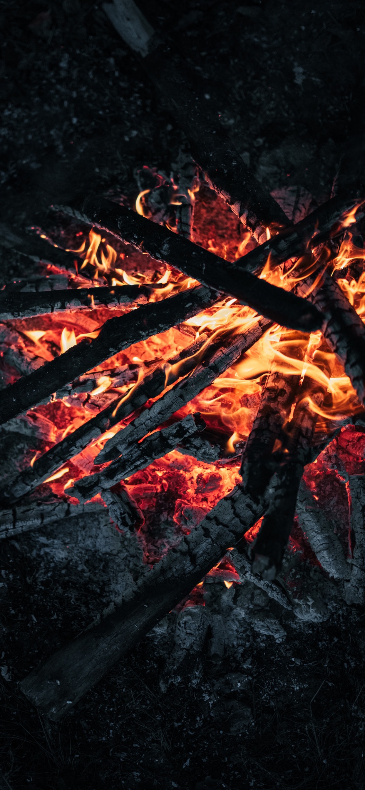 Обои костер, дрова, зола, огонь, пламя в разрешении 1242x2688