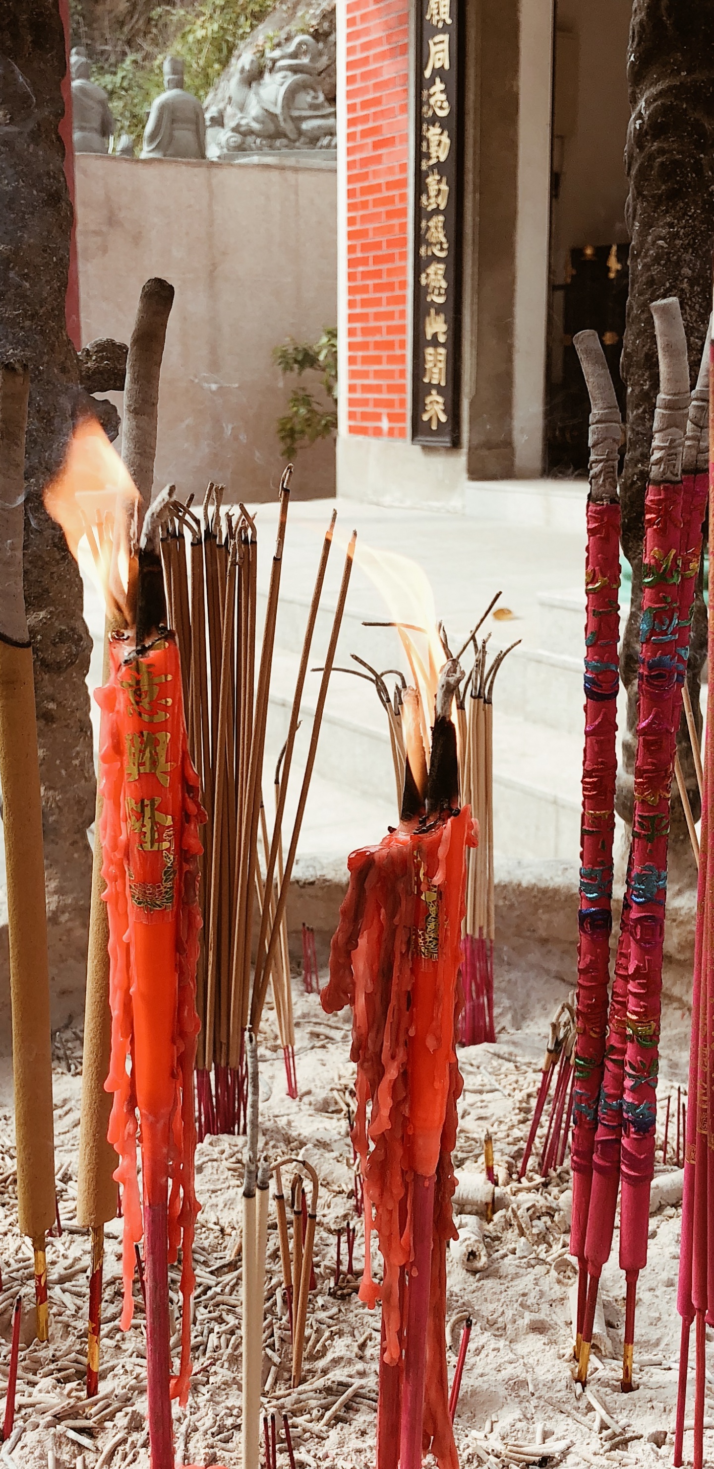 Обои дерево, храм, традиция в разрешении 1440x2960