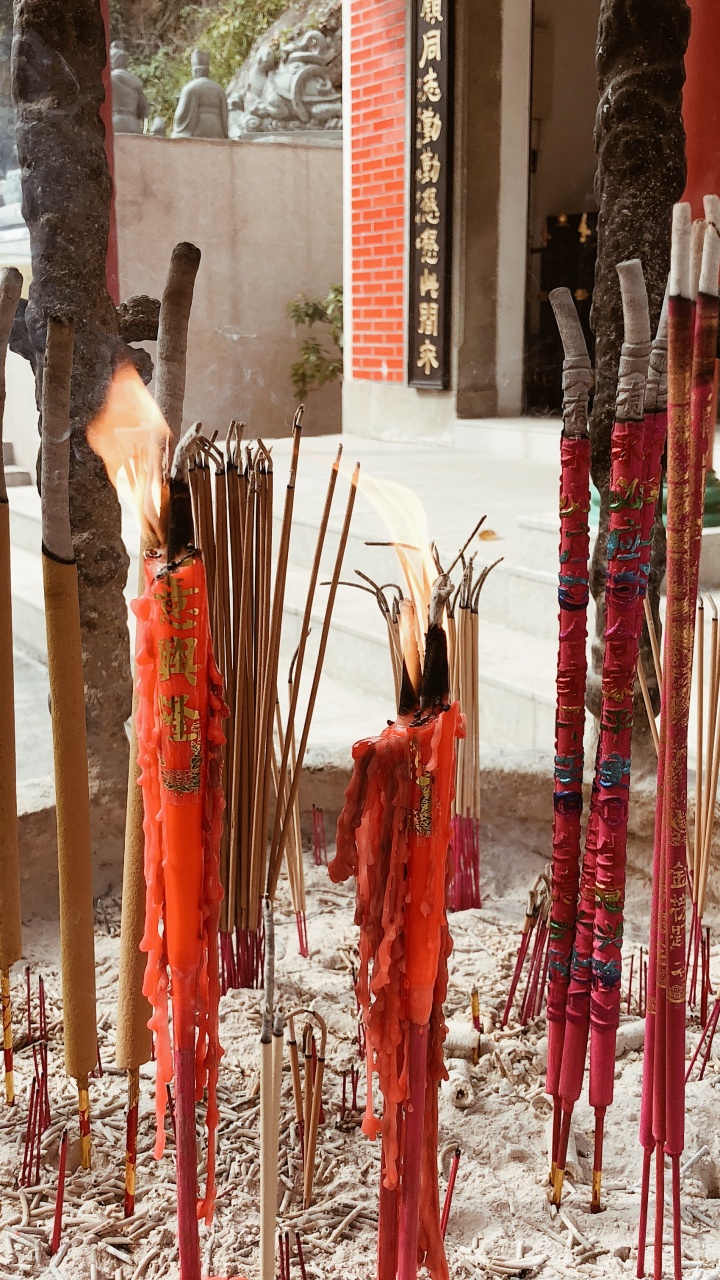 Обои дерево, храм, традиция в разрешении 720x1280