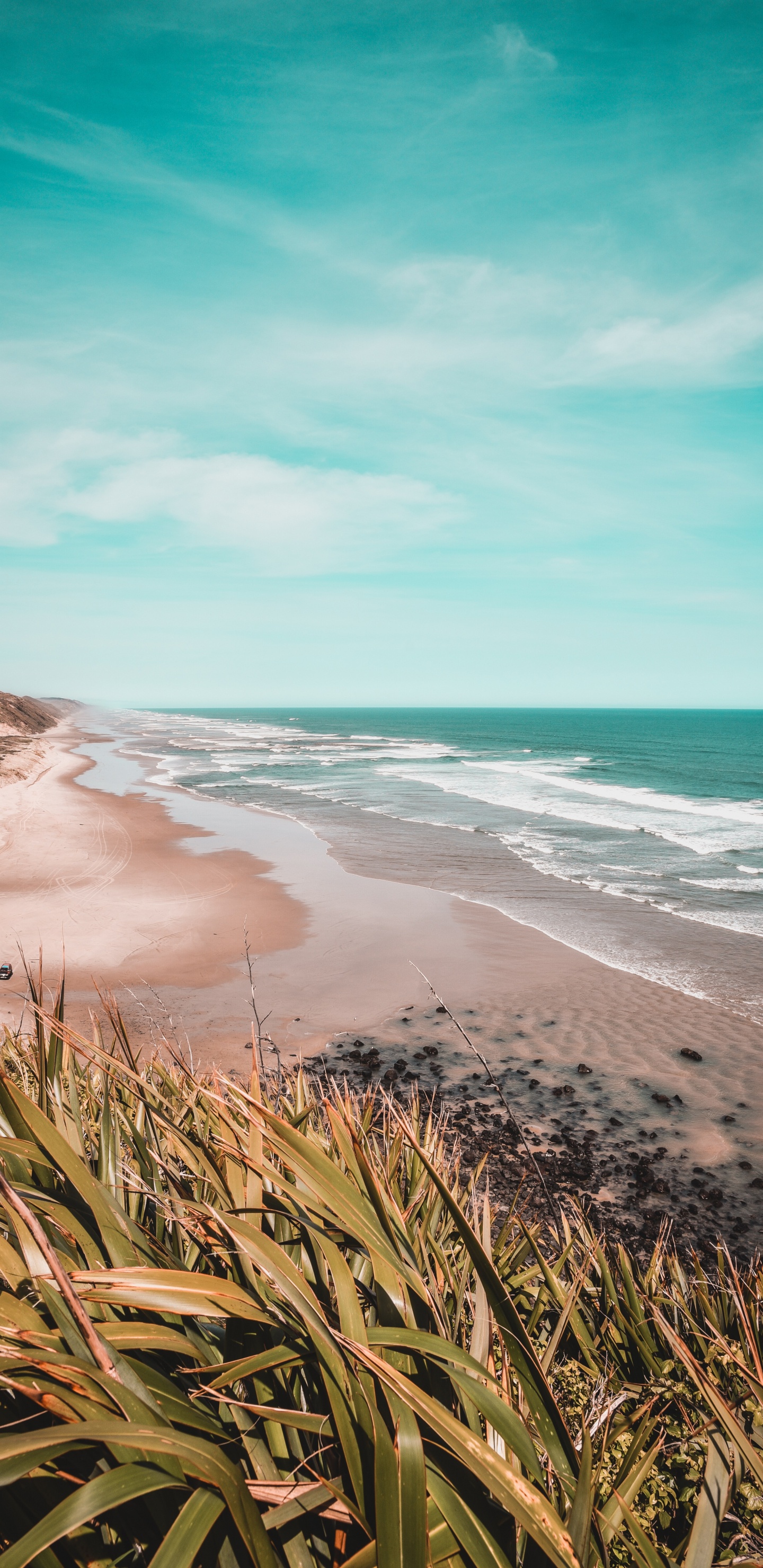 Обои берег, пляж, побережье, море, водоем в разрешении 1440x2960