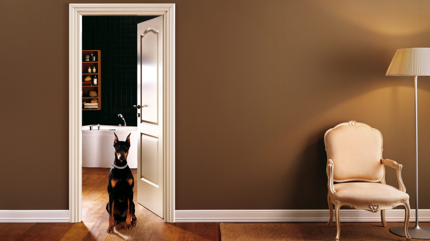 Обои комната, гостиная комната, дизайн, спальня, дверь в разрешении 1366x768