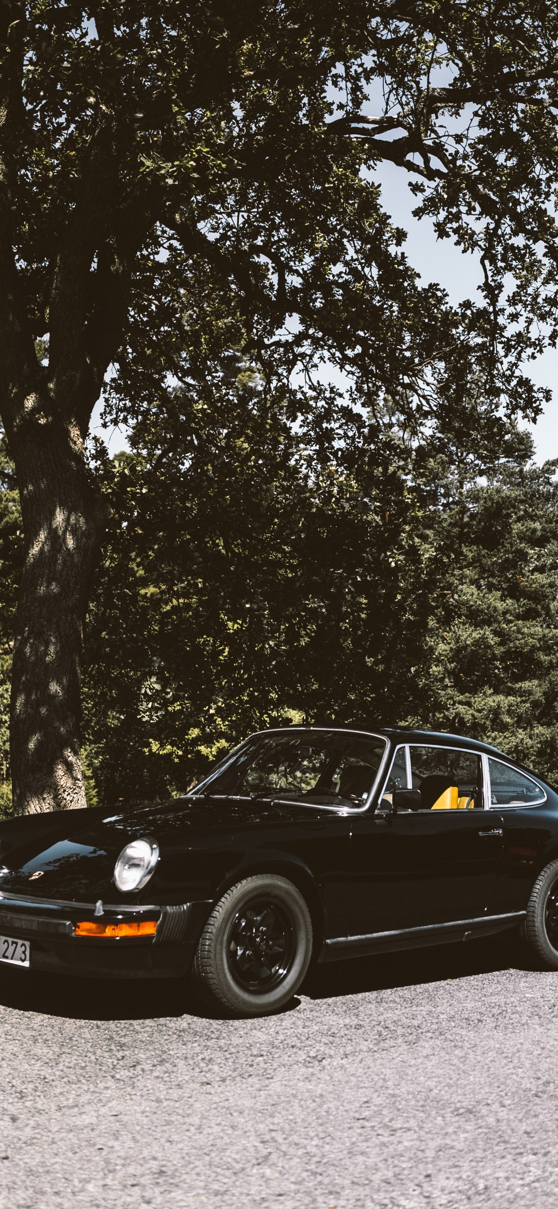 Обои классический автомобиль, Порше 911 классика, Ралли регулярность, кузов купе, седан в разрешении 1125x2436