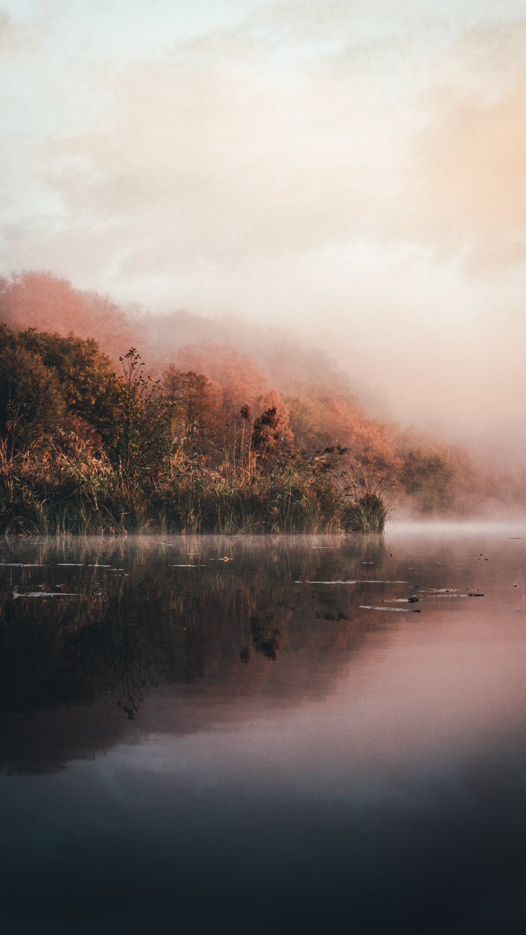 Обои вода, природа, солнечный свет, туман, утро в разрешении 1080x1920