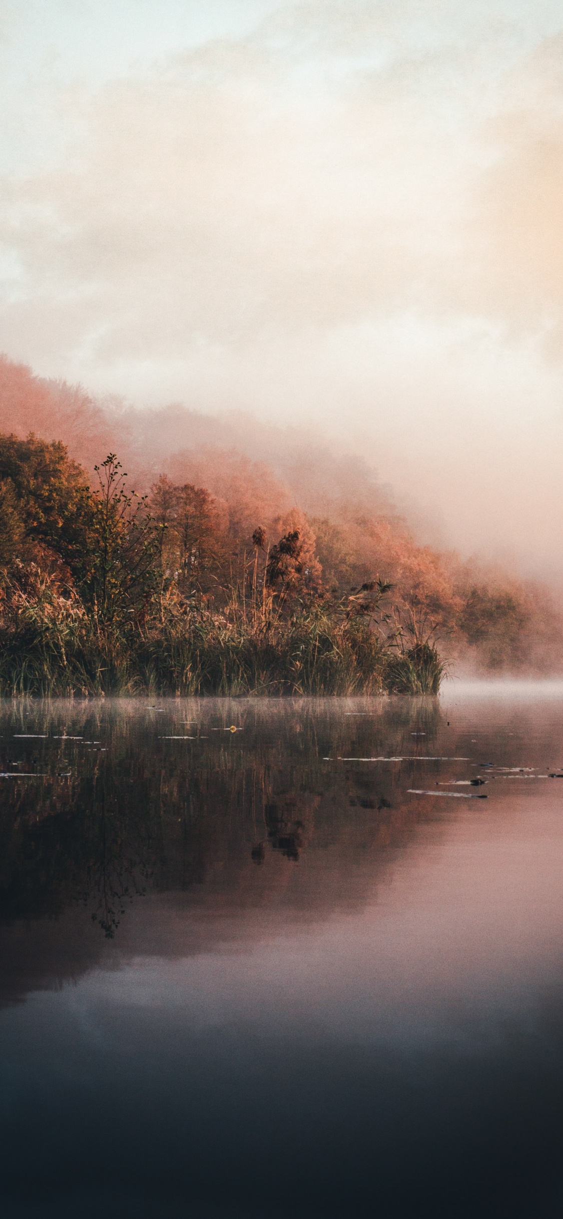 Обои вода, природа, солнечный свет, туман, утро в разрешении 1125x2436