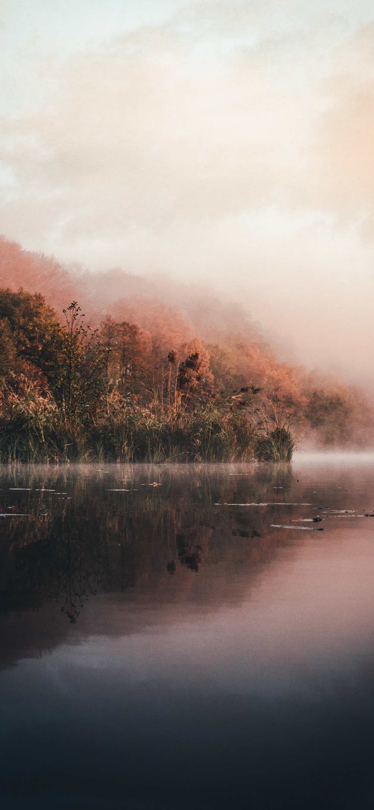 Обои вода, природа, солнечный свет, туман, утро в разрешении 1242x2688