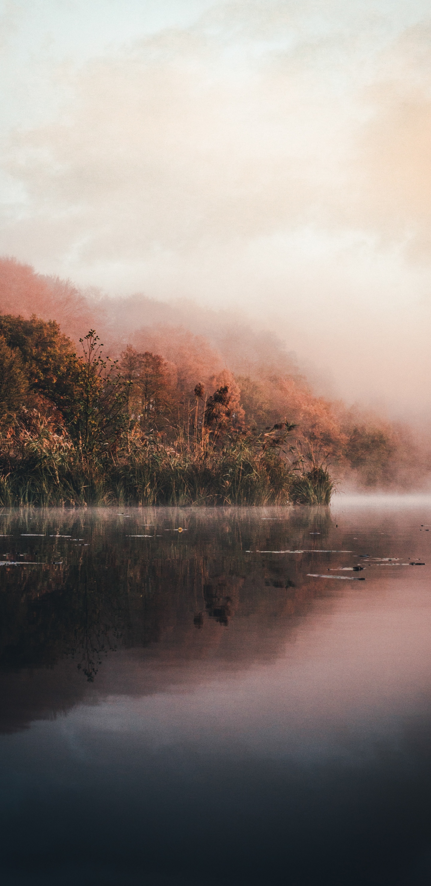 Обои вода, природа, солнечный свет, туман, утро в разрешении 1440x2960