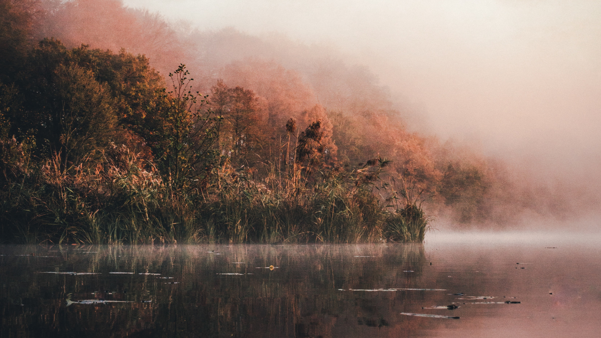 Обои вода, природа, солнечный свет, туман, утро в разрешении 1920x1080