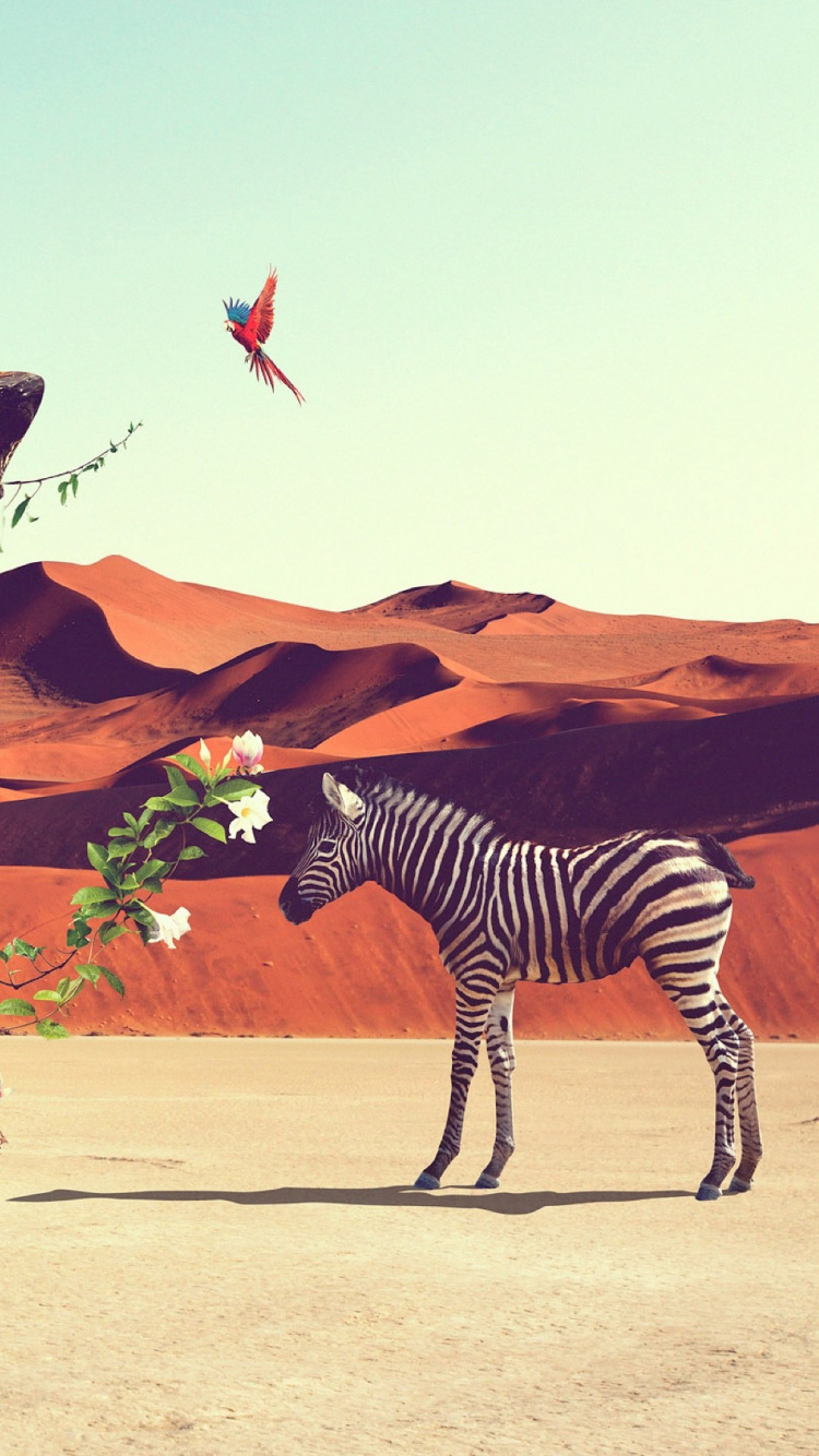 Обои пустыня, арт, окружающая среда, Жираф, живая природа в разрешении 750x1334