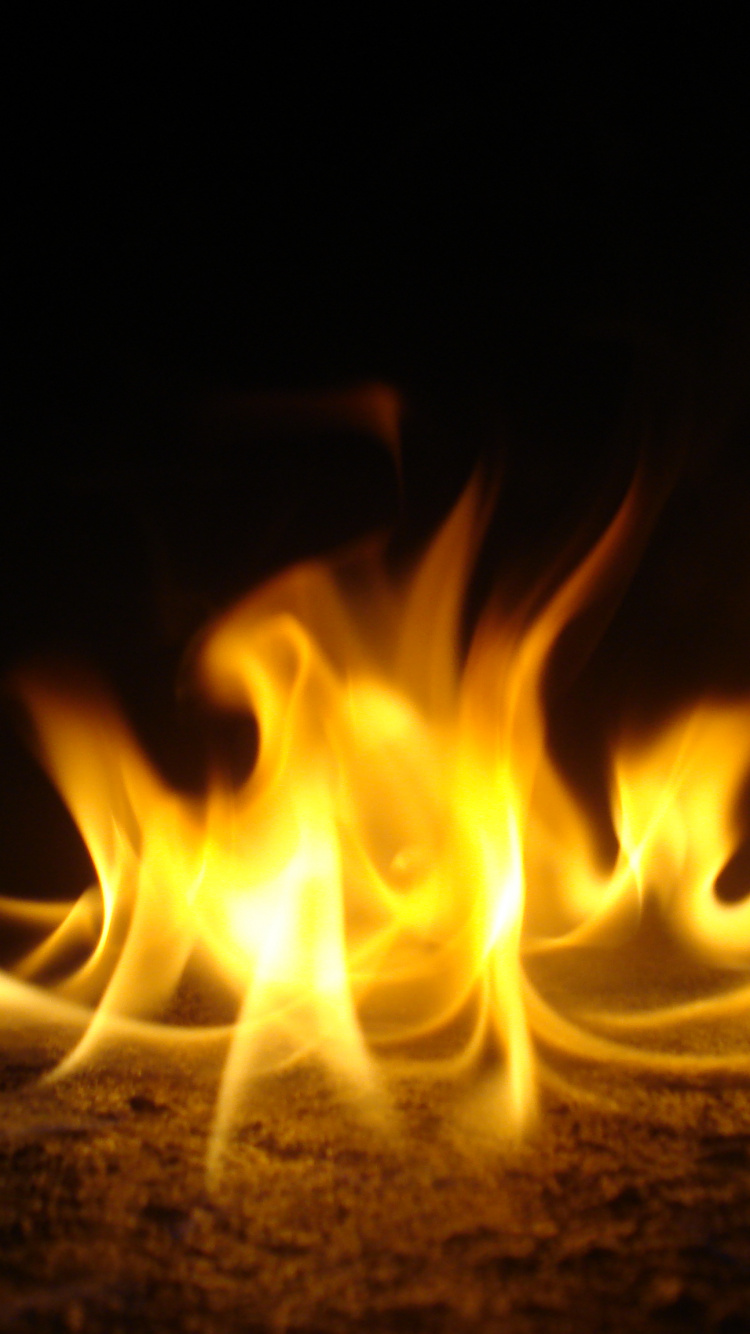Обои пламя, огонь, тепло, костер, кинокадр в разрешении 750x1334