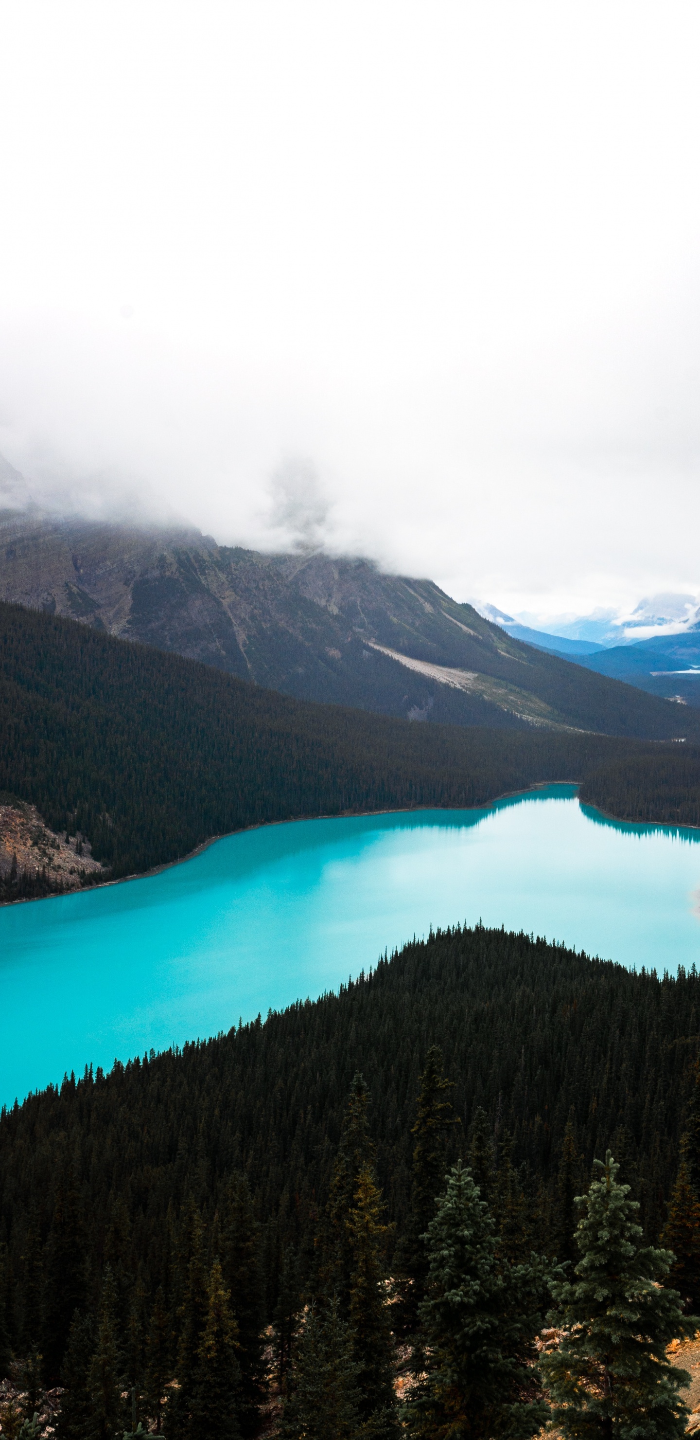 Обои icefields parkway и, озеро, банфф, дикая местность, горный рельеф в разрешении 1440x2960