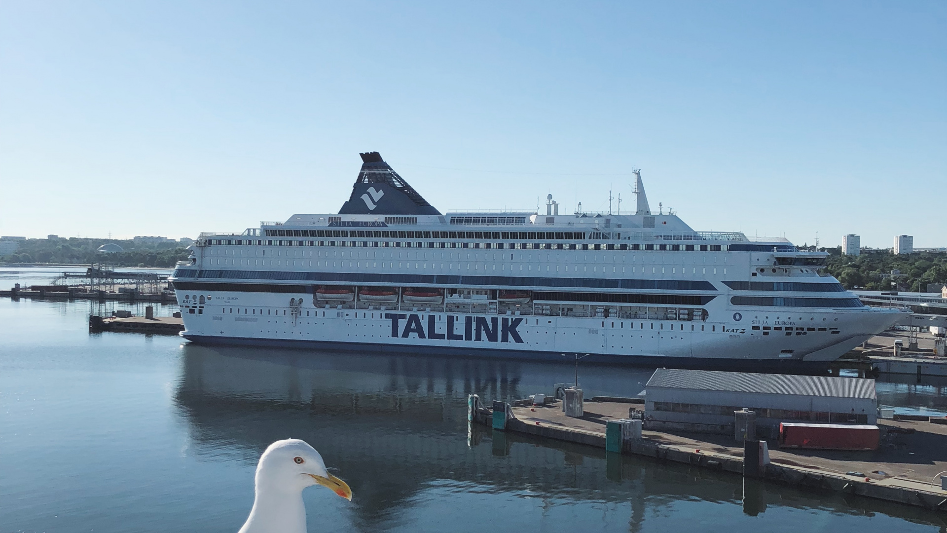 Обои вода, круизное судно, паром, теплоход, яхта в разрешении 1920x1080