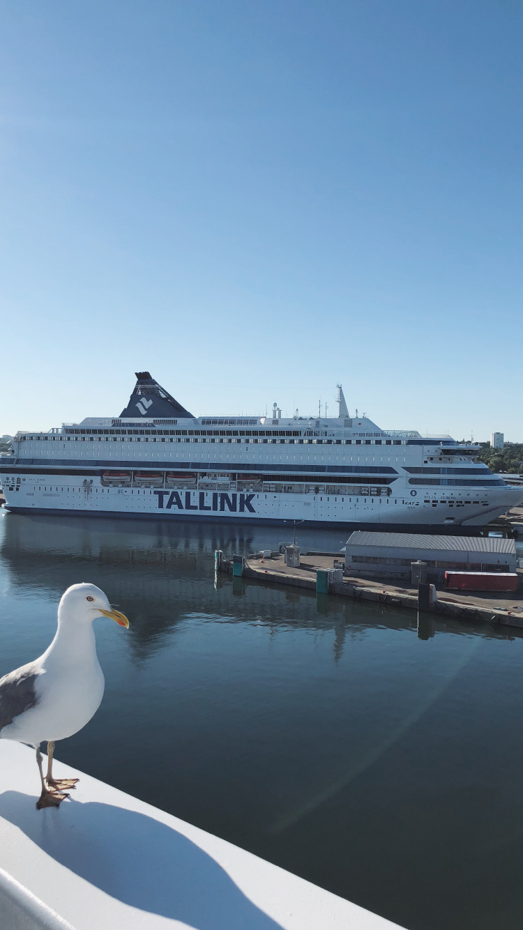 Обои вода, круизное судно, паром, теплоход, яхта в разрешении 750x1334