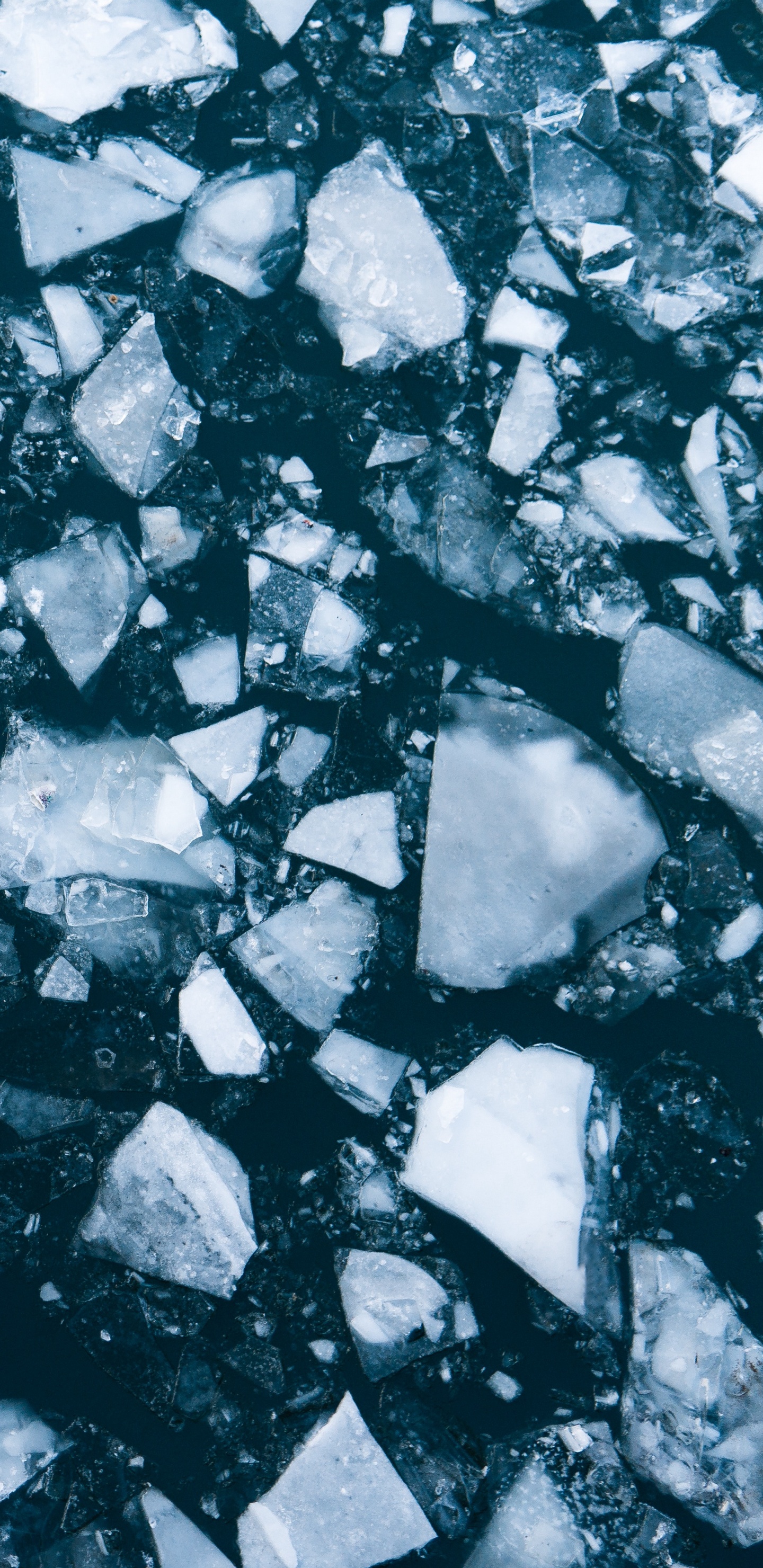 Обои лед, вода, таяние, Арктика, мороз в разрешении 1440x2960