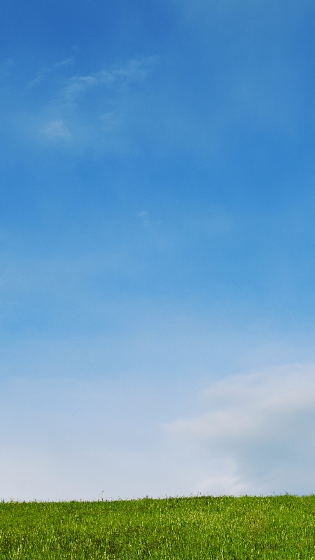 Обои синий, небо, дневное время, зеленый, облако в разрешении 1080x1920