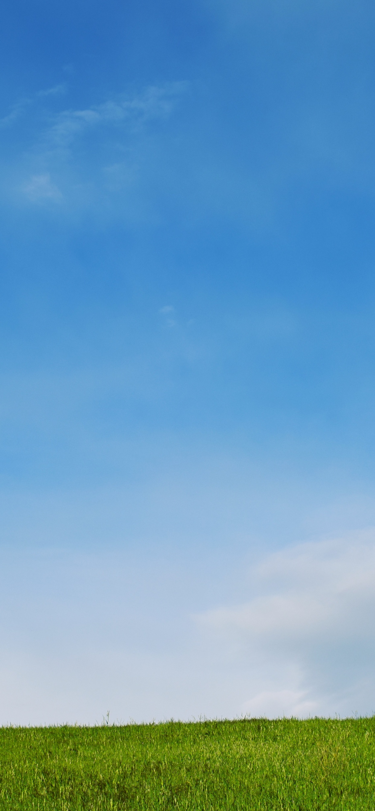 Обои синий, небо, дневное время, зеленый, облако в разрешении 1242x2688