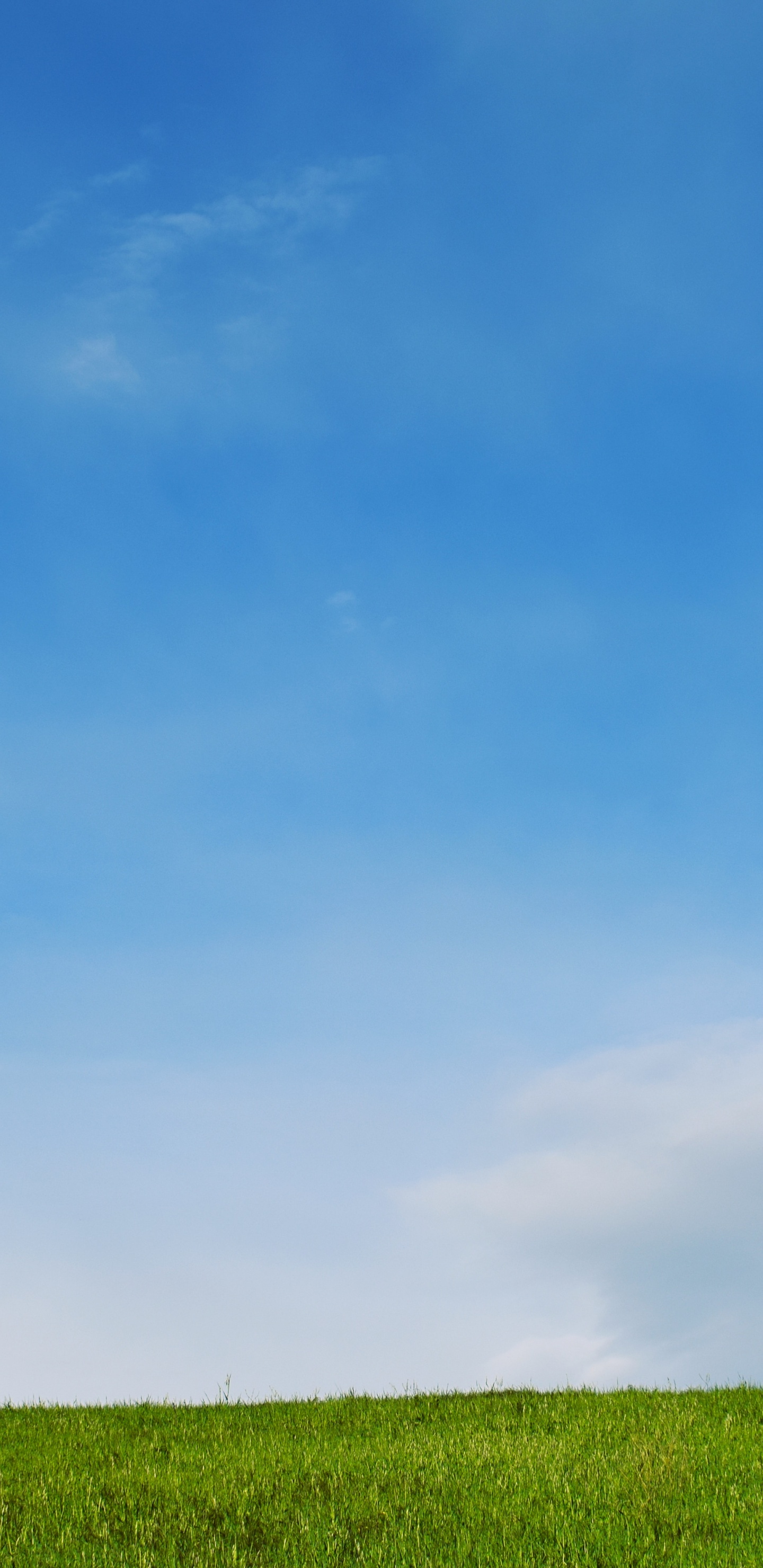 Обои синий, небо, дневное время, зеленый, облако в разрешении 1440x2960