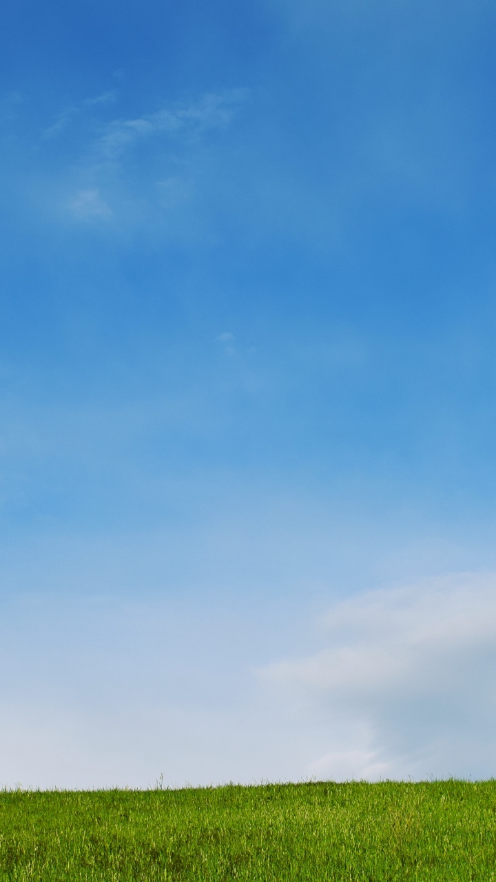 Обои синий, небо, дневное время, зеленый, облако в разрешении 720x1280