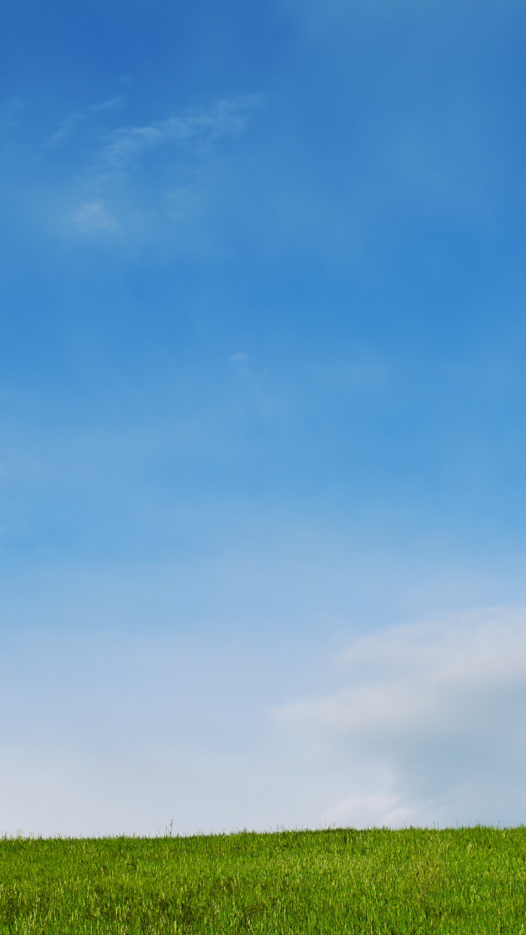 Обои синий, небо, дневное время, зеленый, облако в разрешении 750x1334