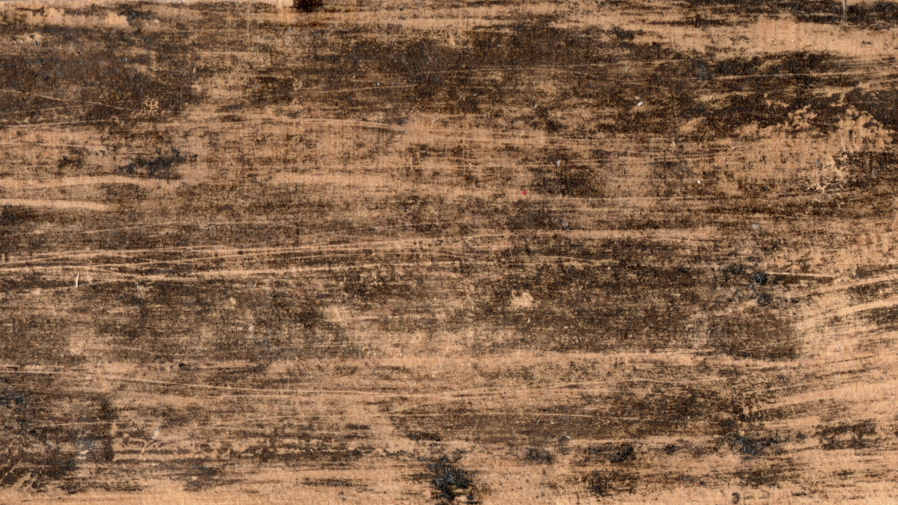 Обои древесина, планка, Delictum, Сан-Мигелито, правонарушитель в разрешении 1280x720
