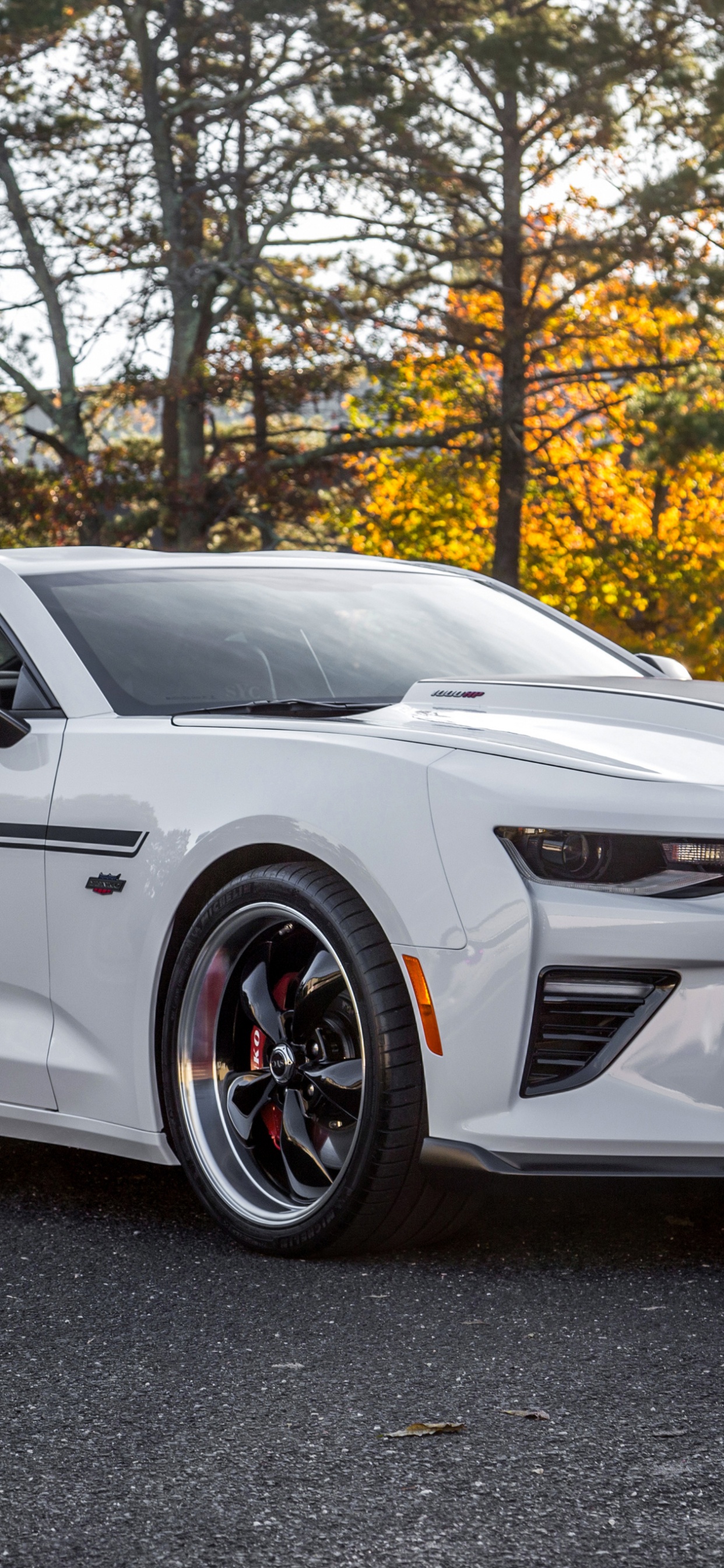 Обои Енко Камаро, спорткар, Шевроле, авто, Шевроле камаро в разрешении 1242x2688