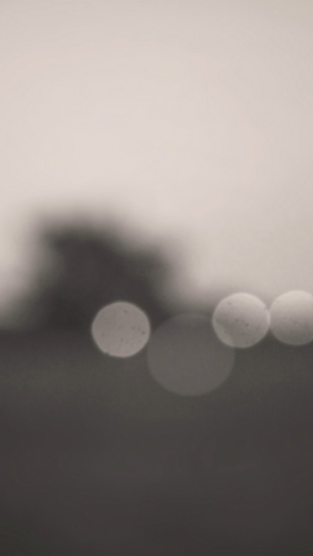 Обои дневное время, монохромный, туман, день, атмосфера в разрешении 1080x1920