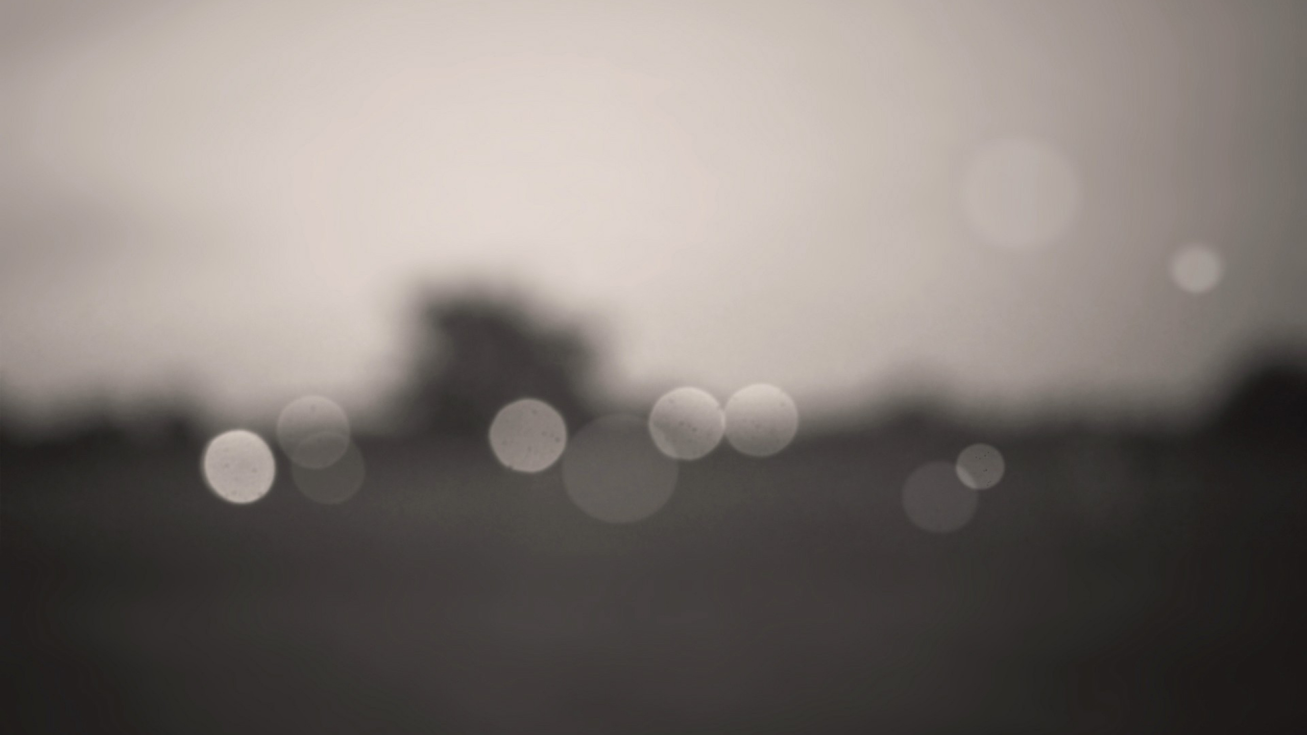 Обои дневное время, монохромный, туман, день, атмосфера в разрешении 2560x1440