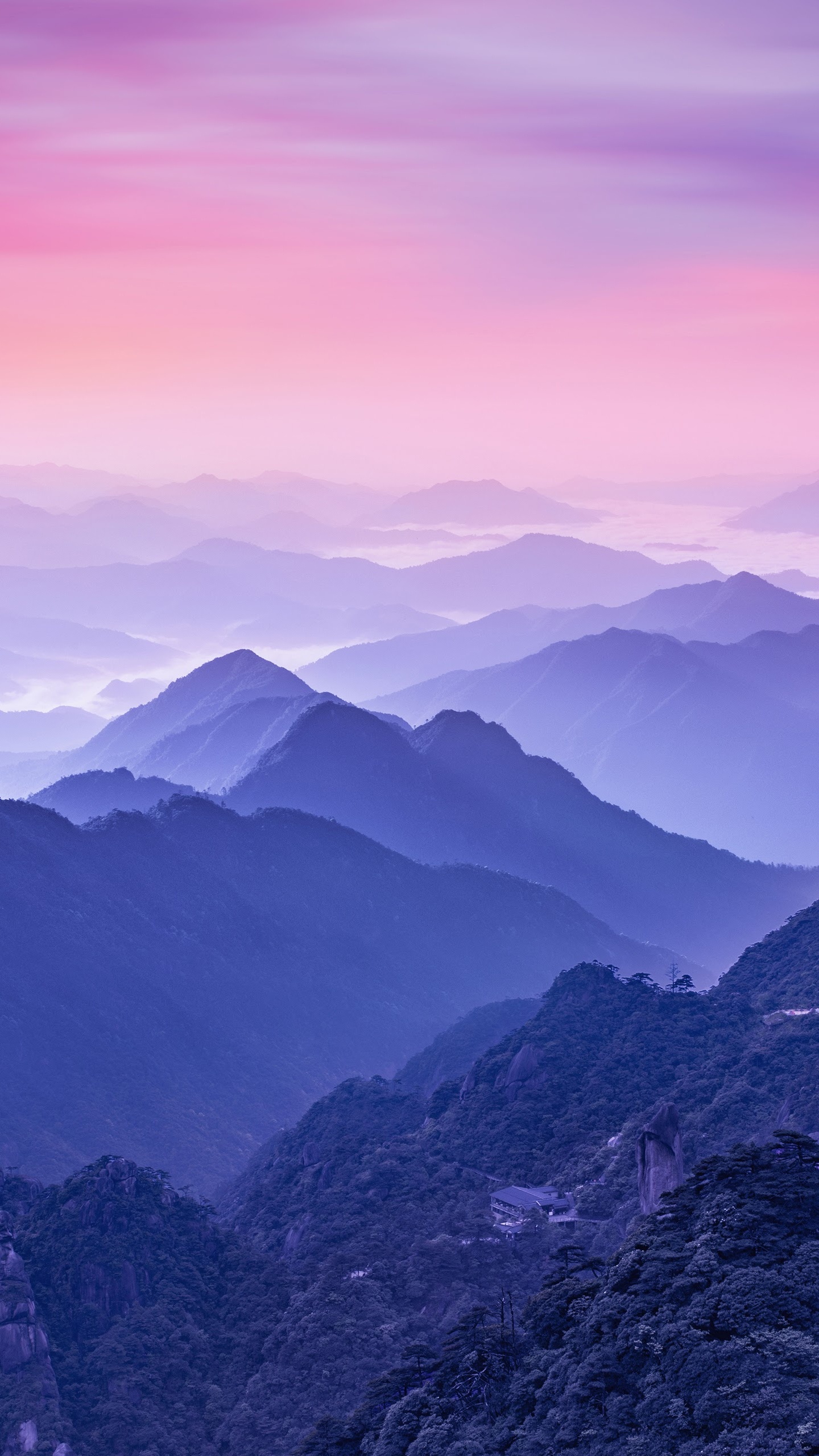 Обои Huawei, Huawei Mate, Huawei Mate 10, Huawei Mate 10 Pro, Хуавей Р20 Про в разрешении 1440x2560